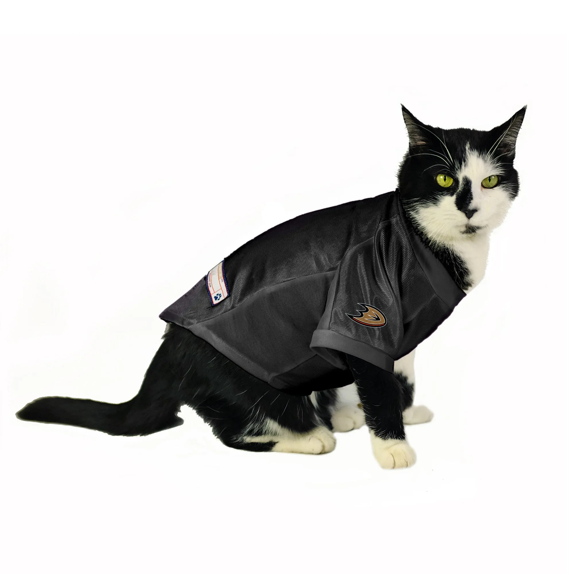 Anaheim Ducks Custom Pet Stretch Jersey