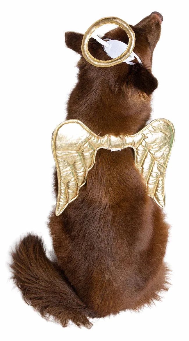 Angelic Pup Pet Costume