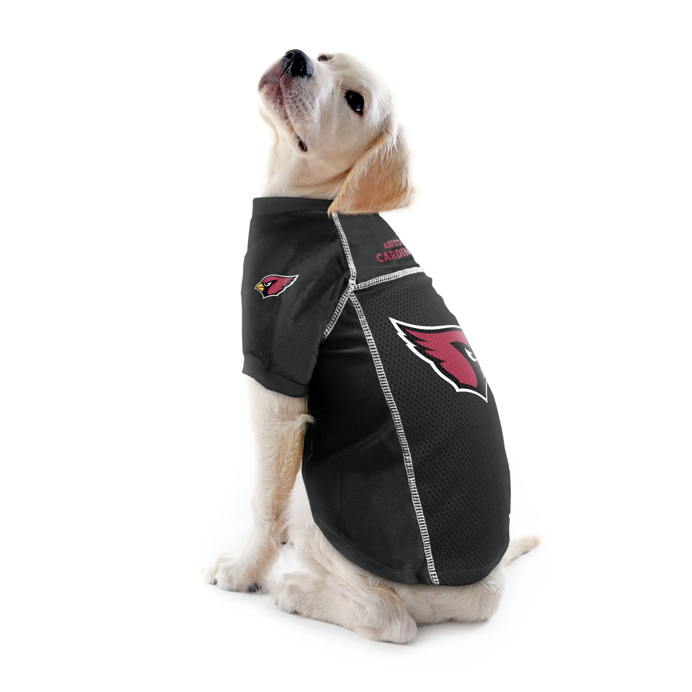 Arizona Cardinals Pet Jersey