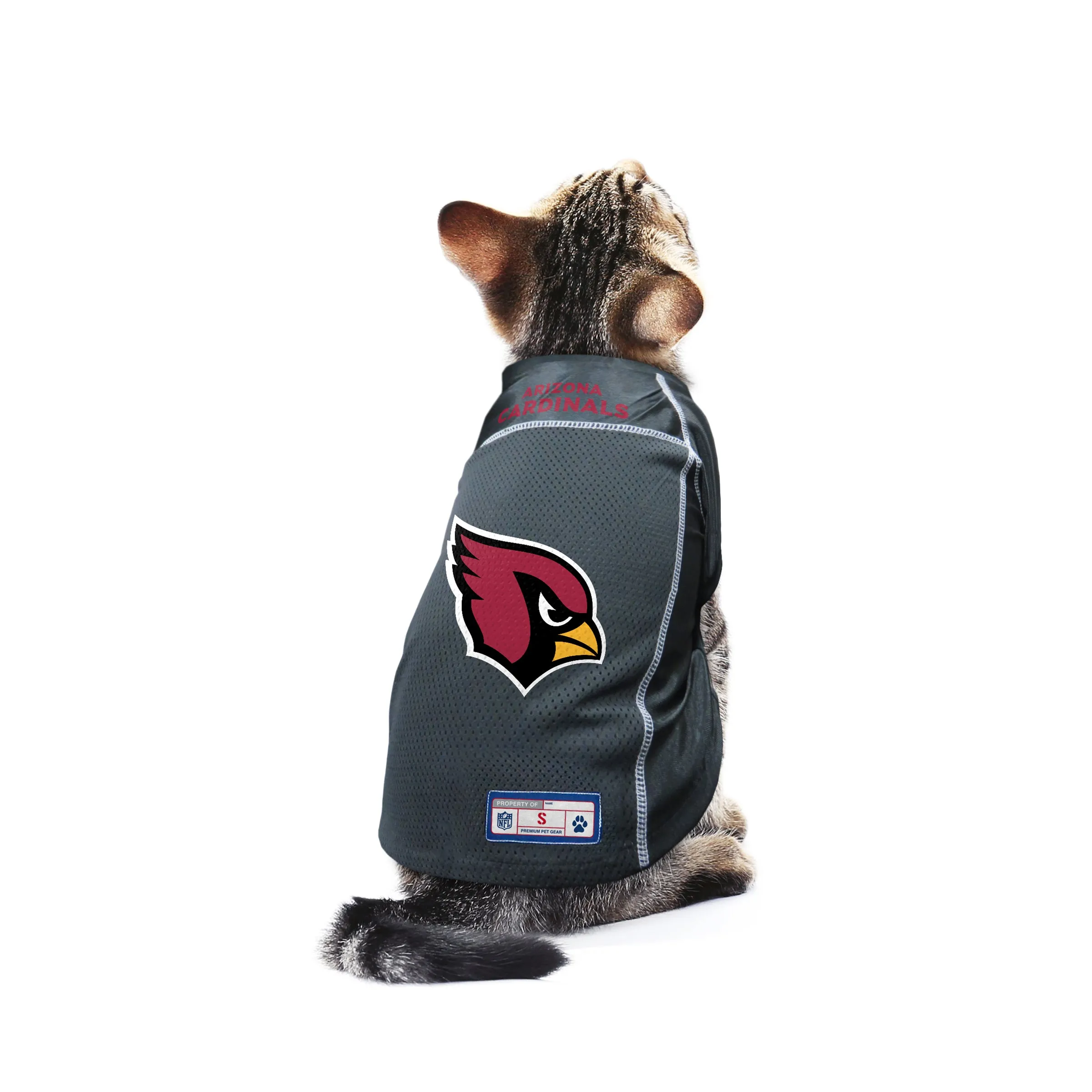 Arizona Cardinals Pet Jersey