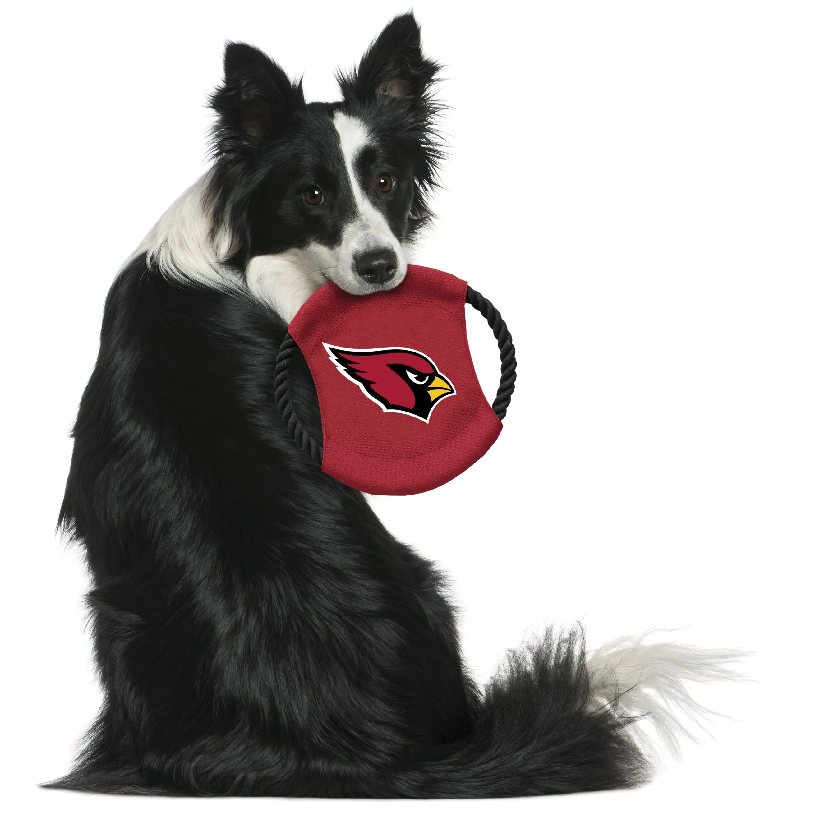 Arizona Cardinals Team Flying Disc Pet Toy