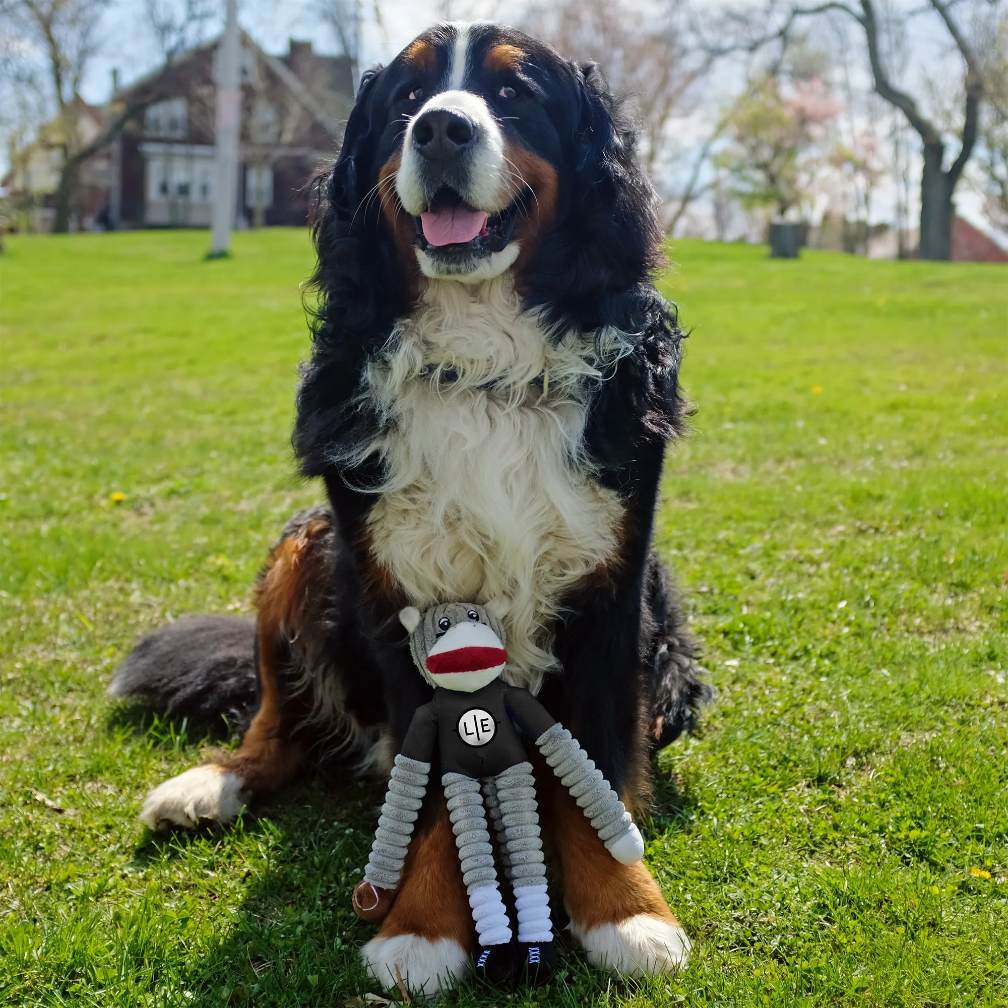 Arizona Cardinals Team Sock Monkey Pet Toy