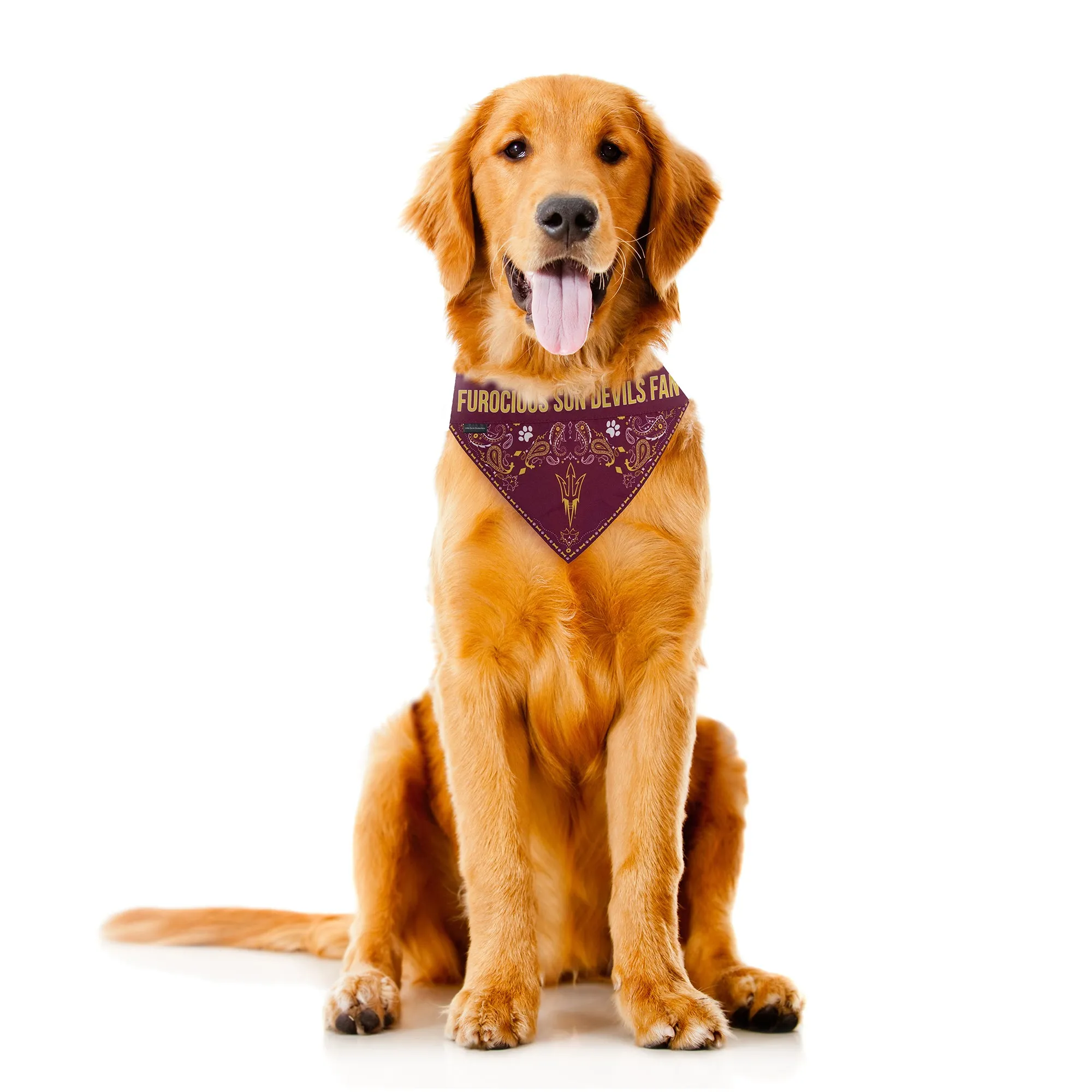 Arizona State University Pet Bandana