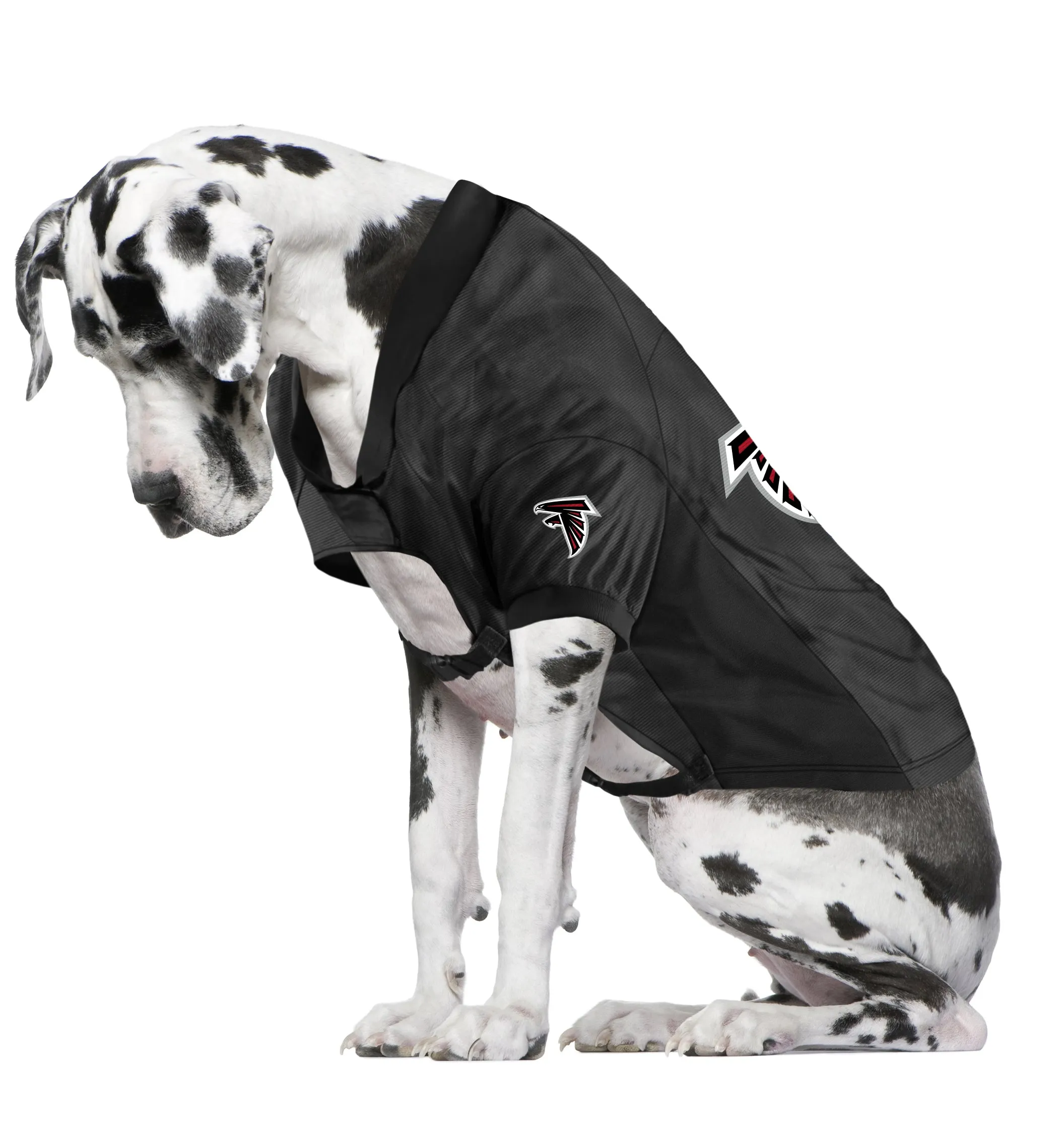 Atlanta Falcons Big Custom Pet Stretch Jersey