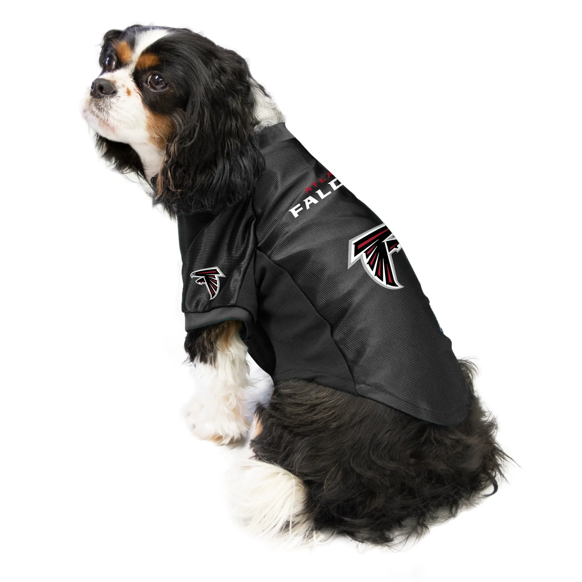 Atlanta Falcons Pet Stretch Jersey