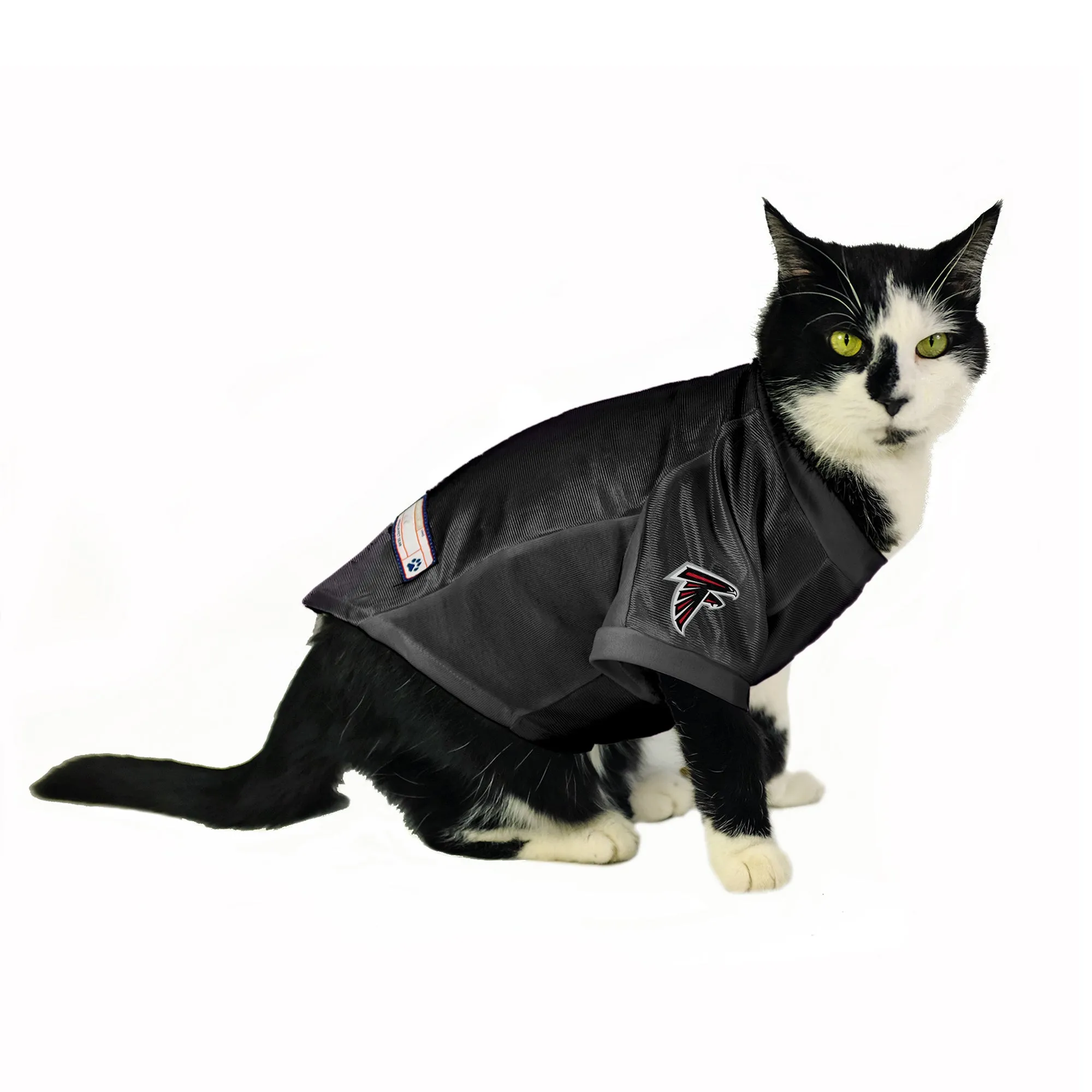 Atlanta Falcons Pet Stretch Jersey