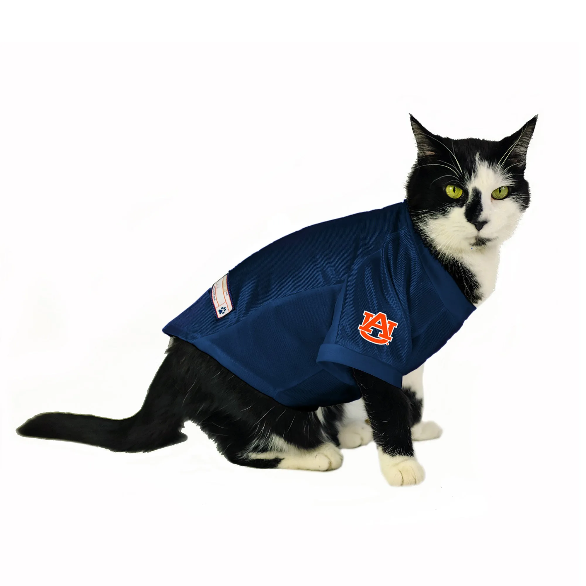 Auburn University Pet Stretch Jersey