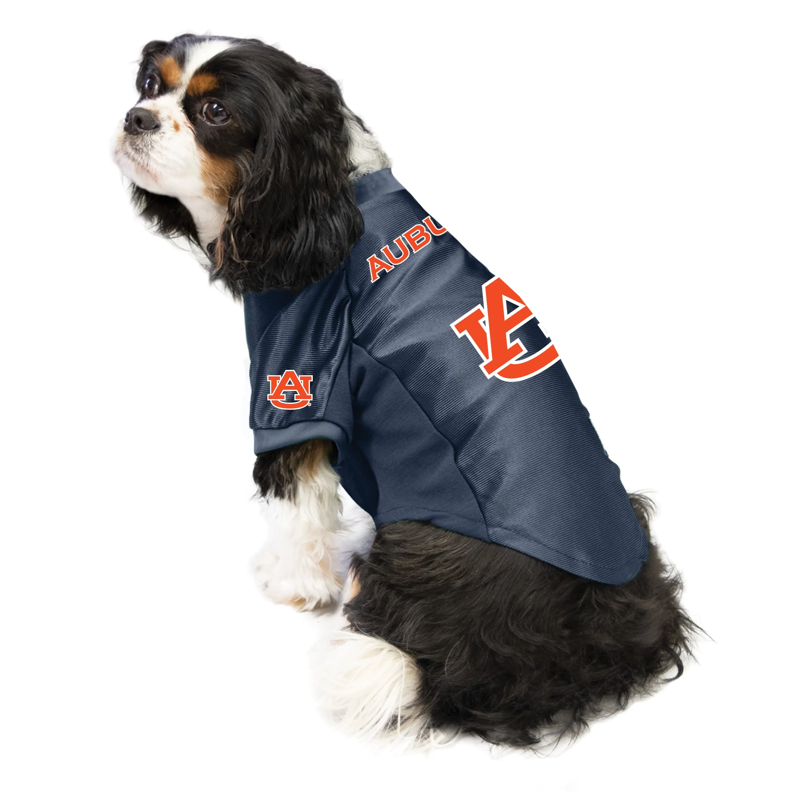 Auburn University Pet Stretch Jersey