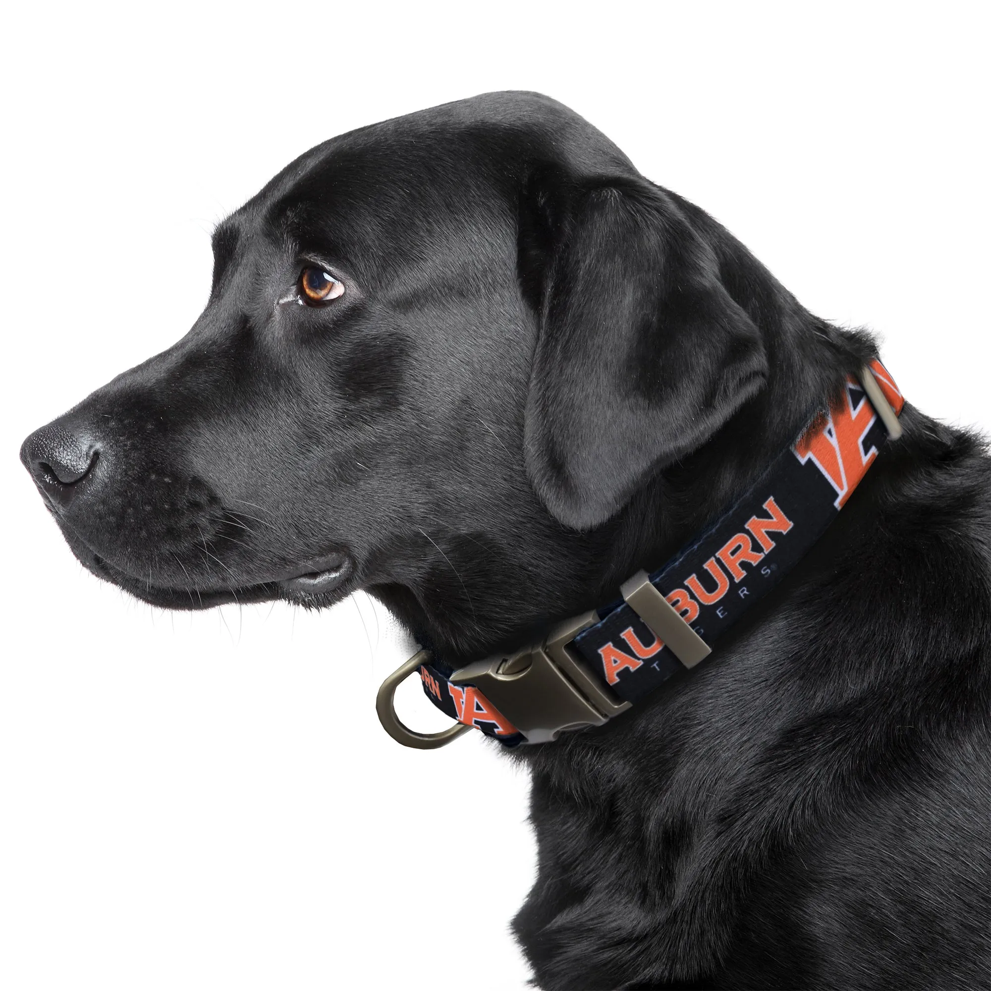 Auburn University Premium Pet Collar