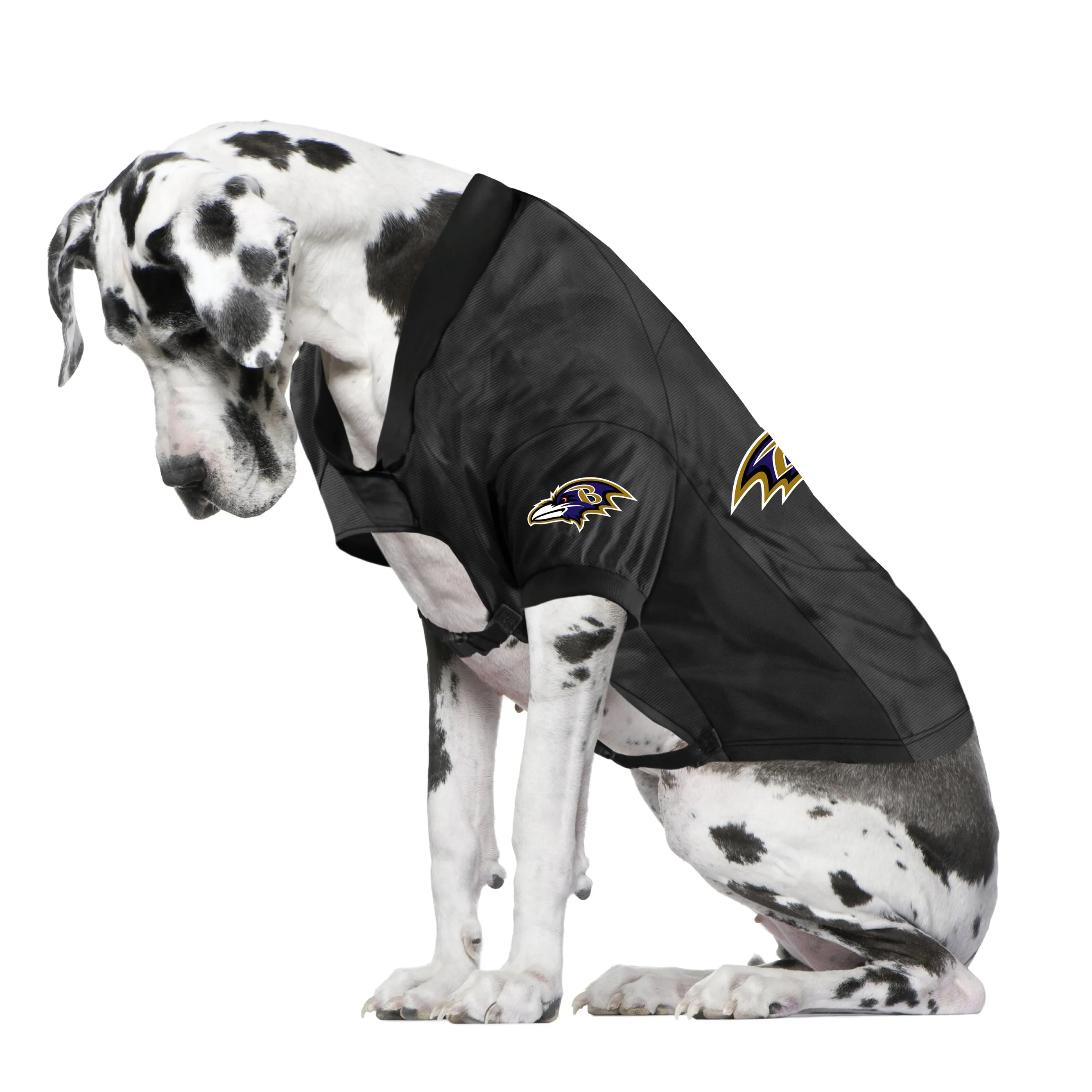 Baltimore Ravens Big Custom Pet Stretch Jersey