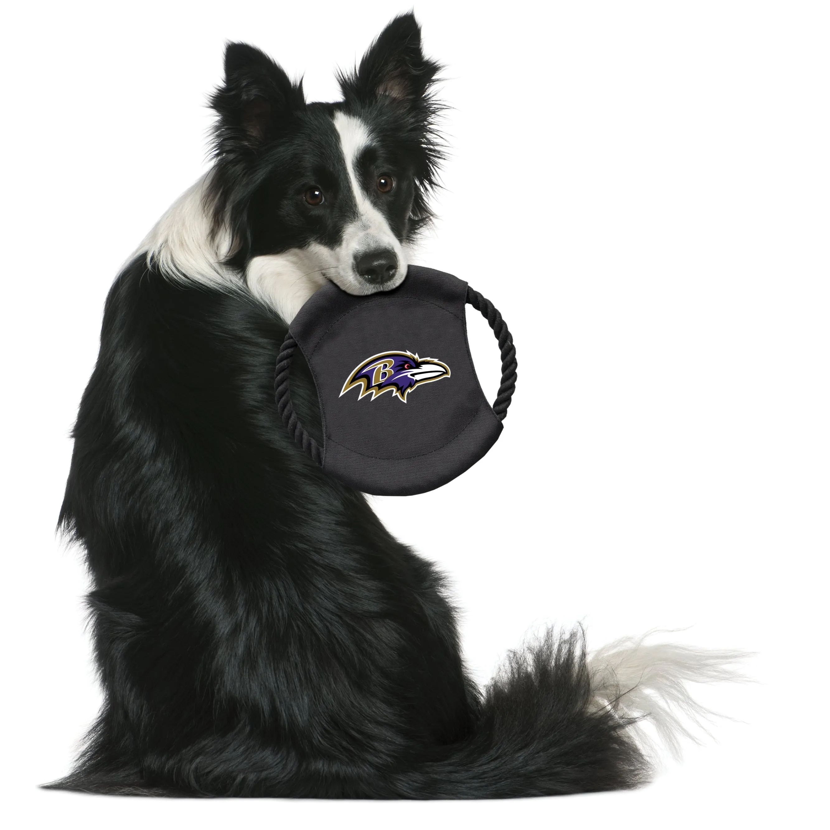 Baltimore Ravens Team Flying Disc Pet Toy