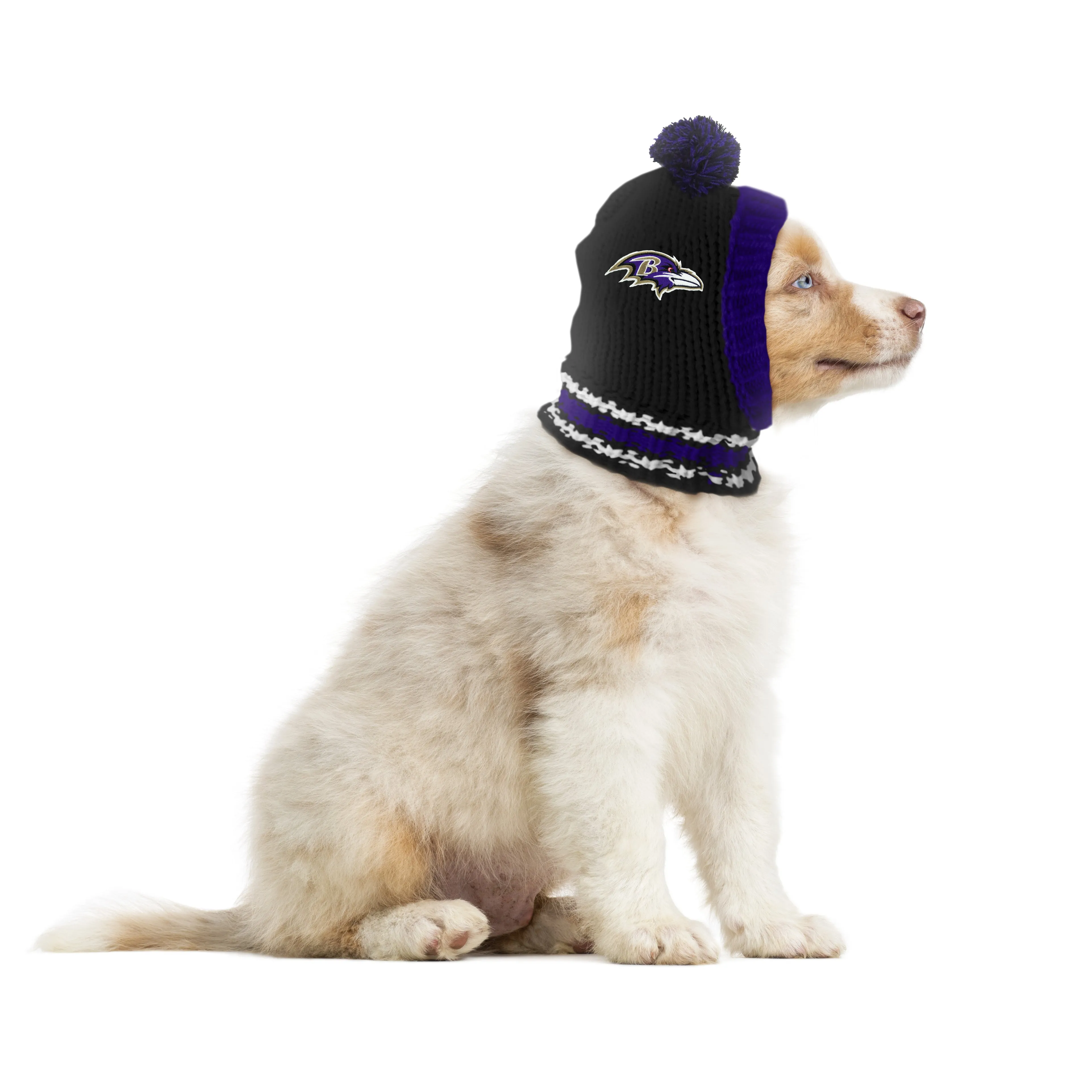 Baltimore Ravens Team Pet Knit Hat