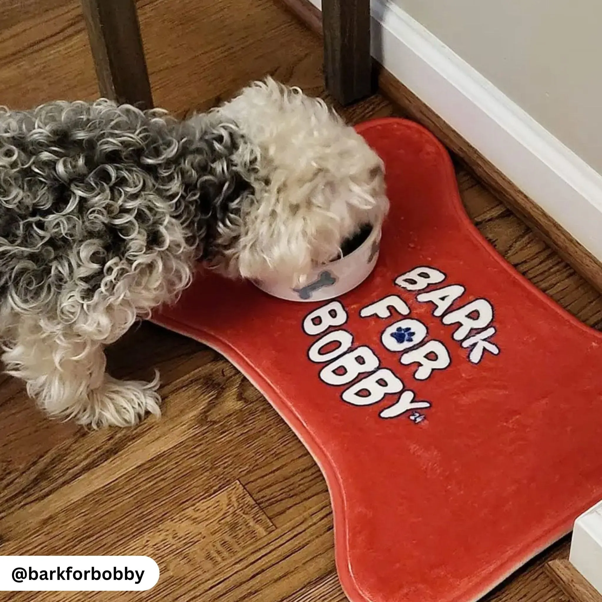 Bark for Bobby Pet Feeding Mat Red