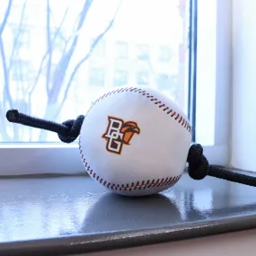 BG Baseball Pet Toy