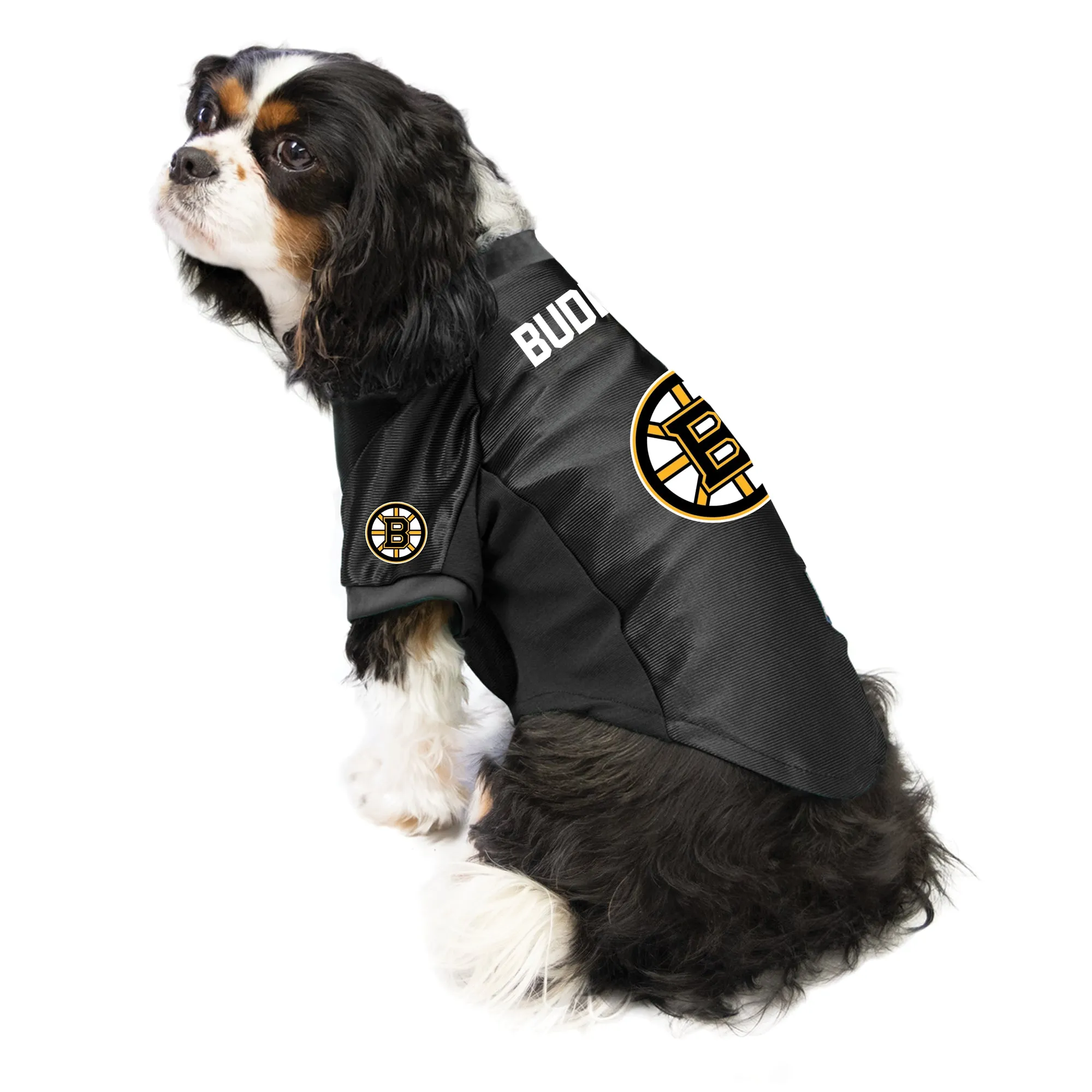 Boston Bruins Custom Pet Stretch Jersey