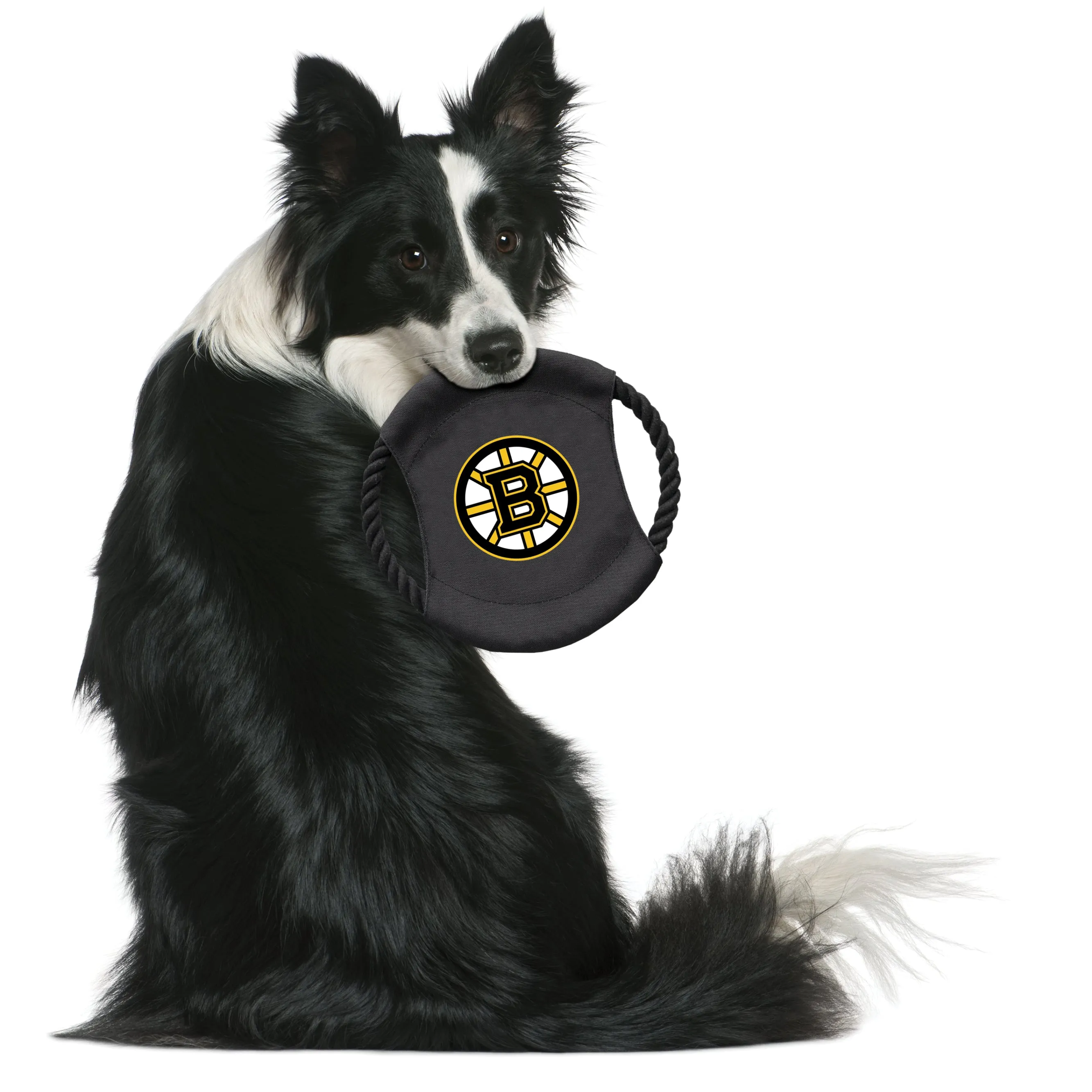 Boston Bruins Team Flying Disc Pet Toy