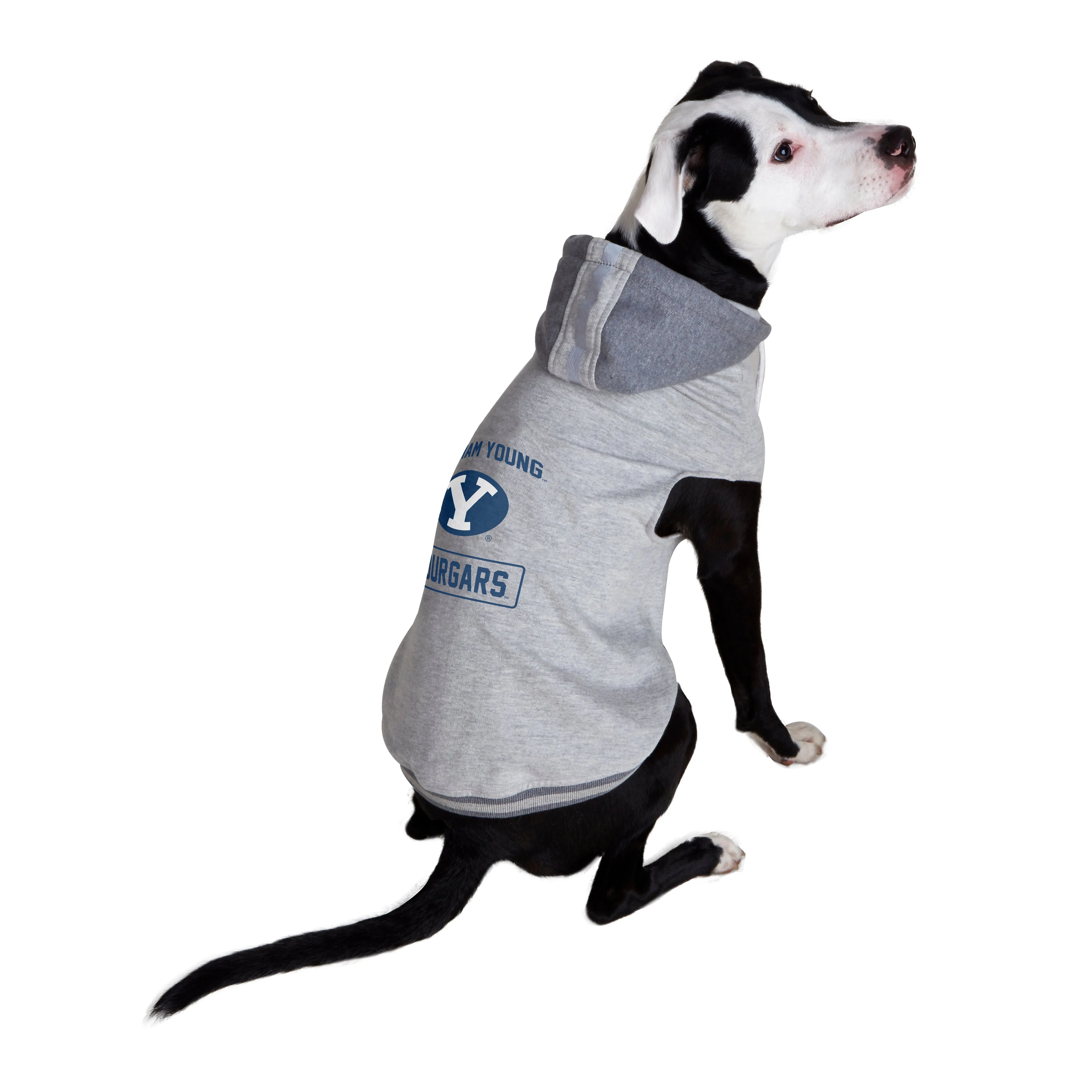 Brigham Young University Pet Hooded Crewneck