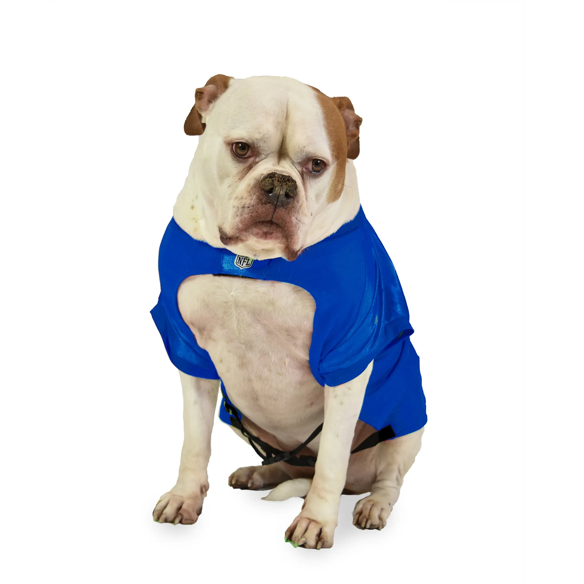 Buffalo Bills Big Pet Stretch Jersey