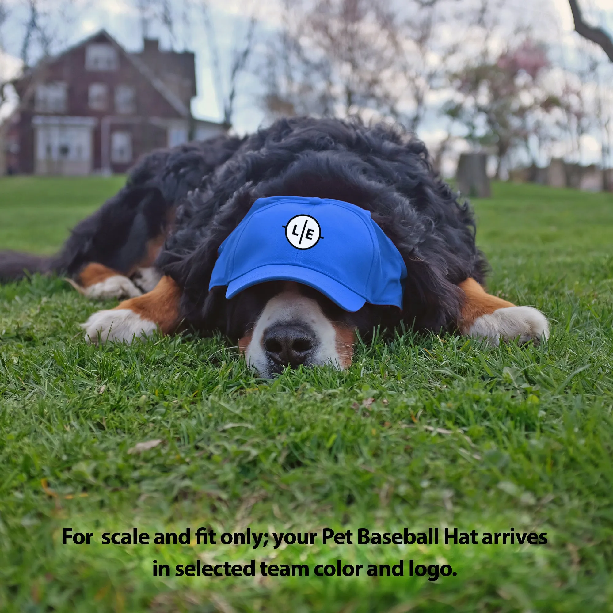 Buffalo Bills Pet Baseball Hat