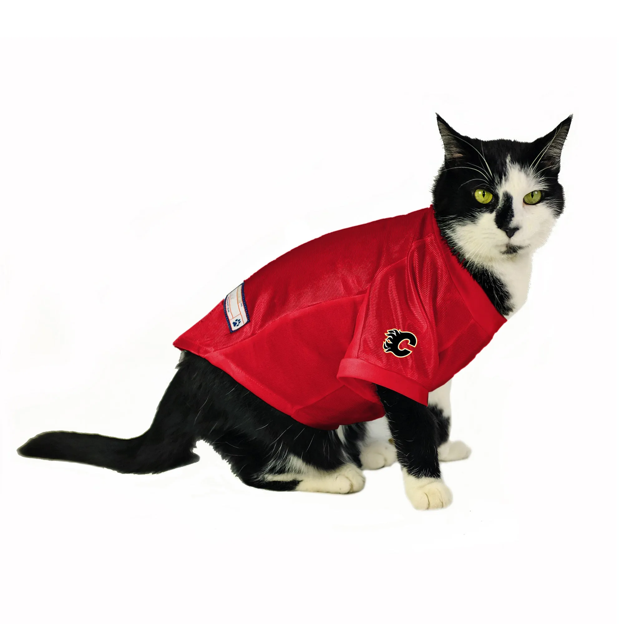 Calgary Flames Custom Pet Stretch Jersey