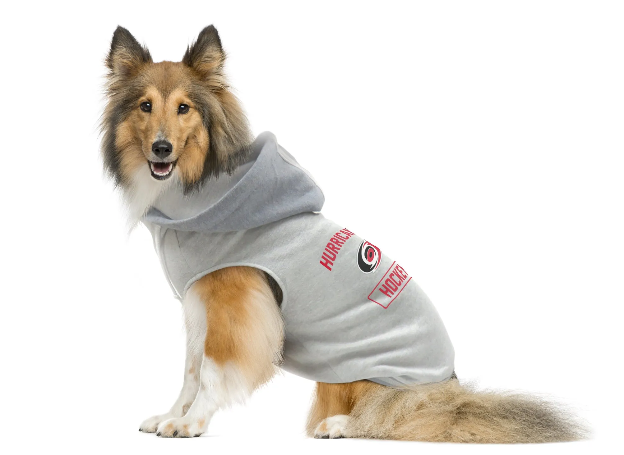 Carolina Hurricanes Pet Hooded Crewneck Type