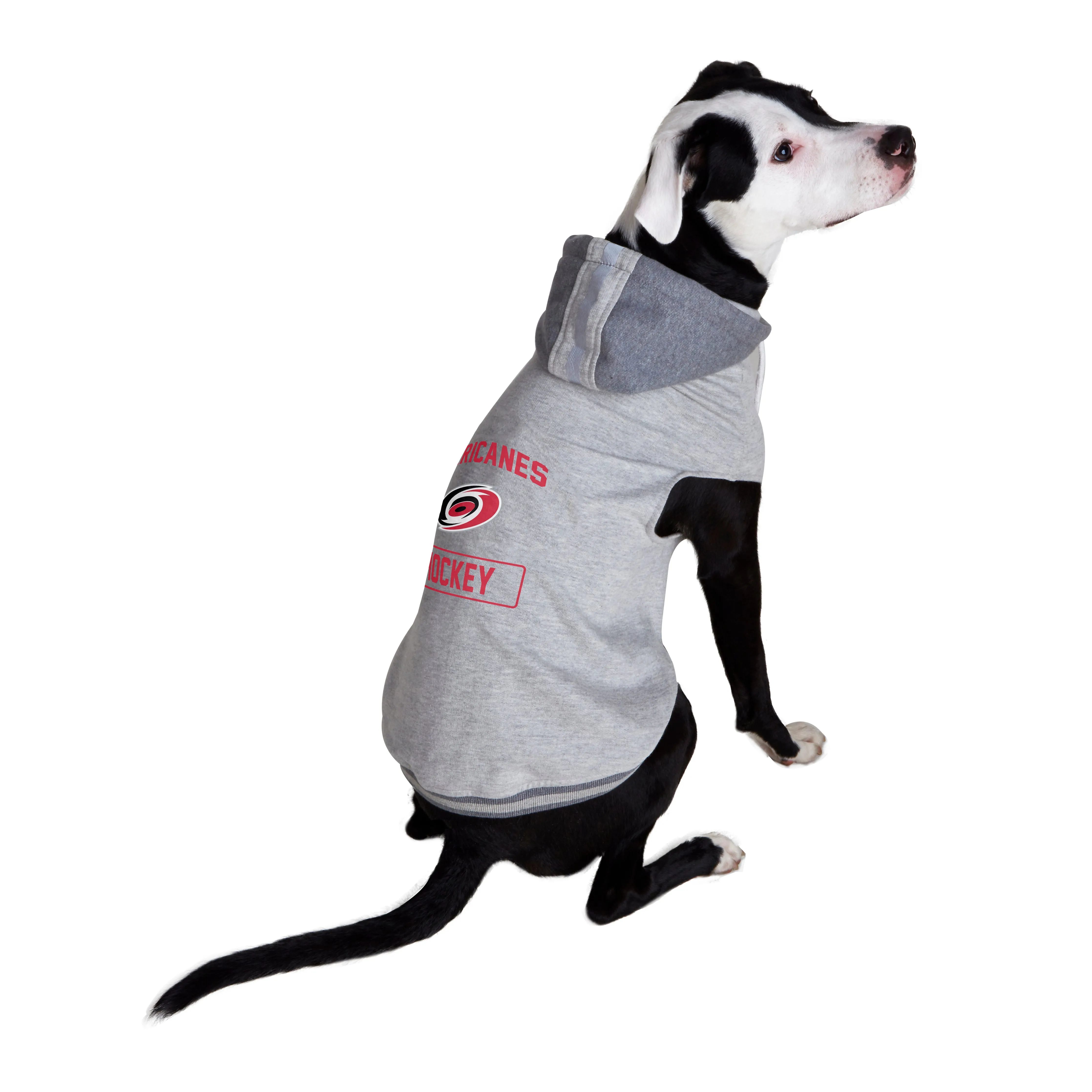 Carolina Hurricanes Pet Hooded Crewneck Type