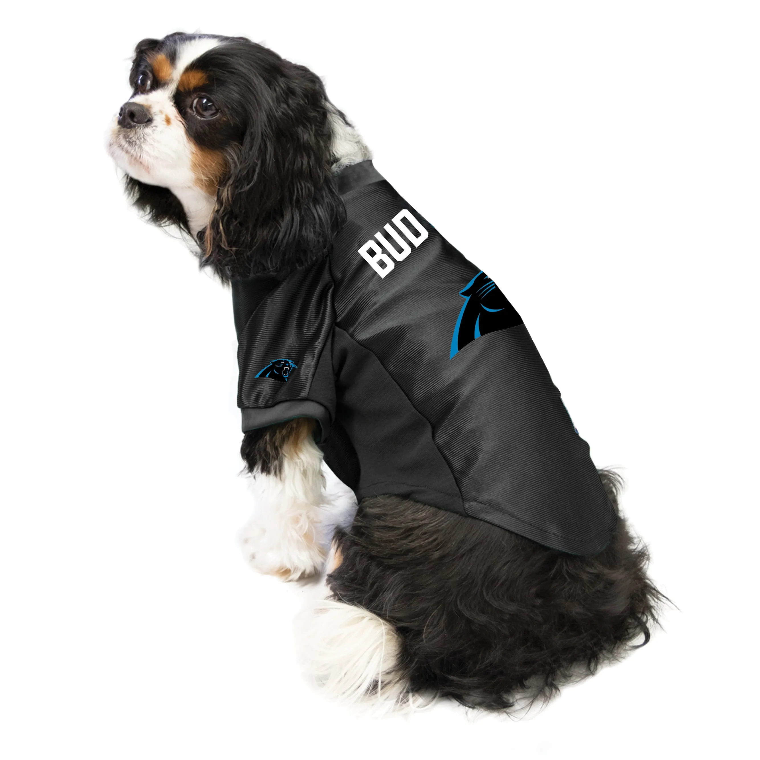 Carolina Panthers Custom Pet Stretch Jersey