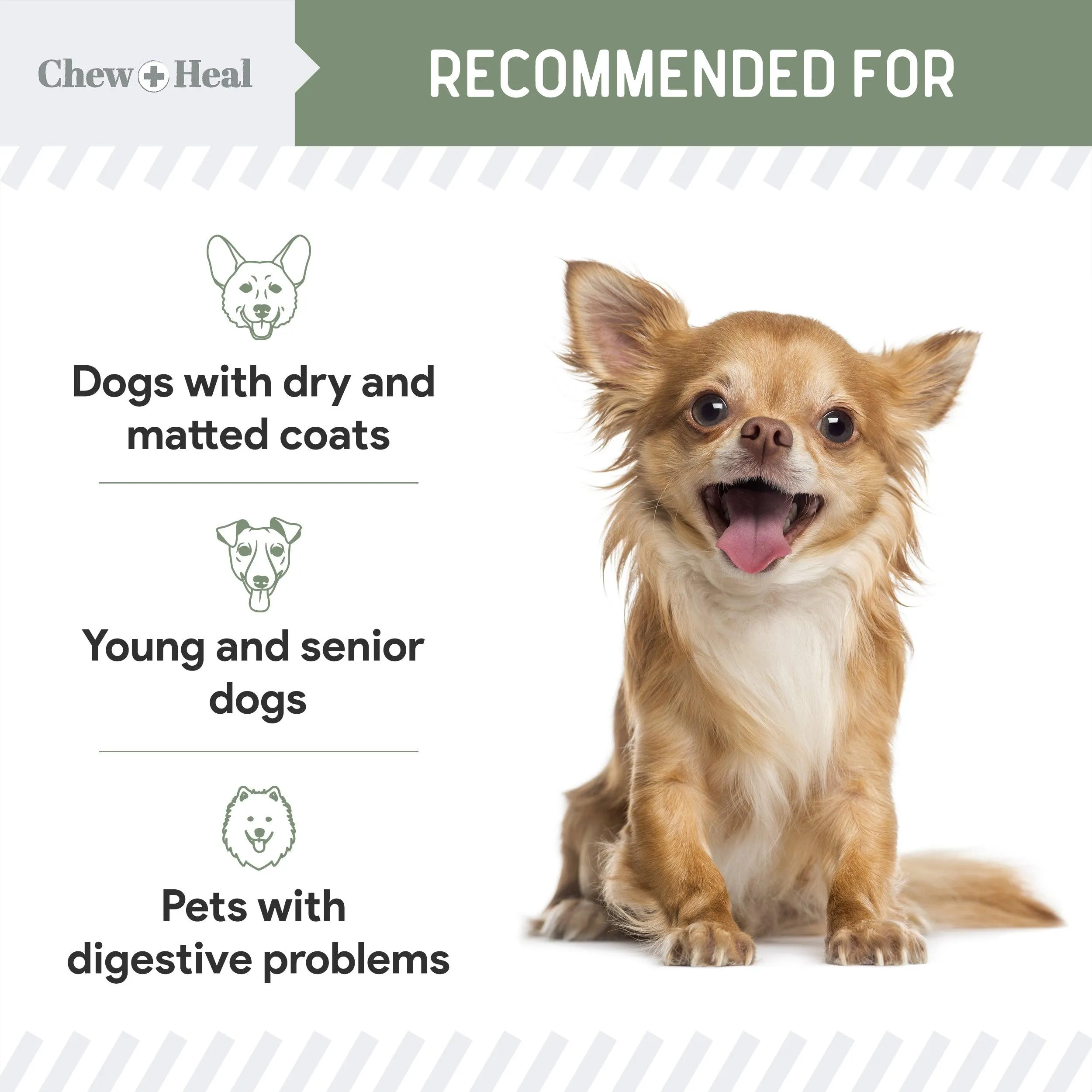 Chew   Heal 4-IN-1 Vitamins and Minerals To Improve Support