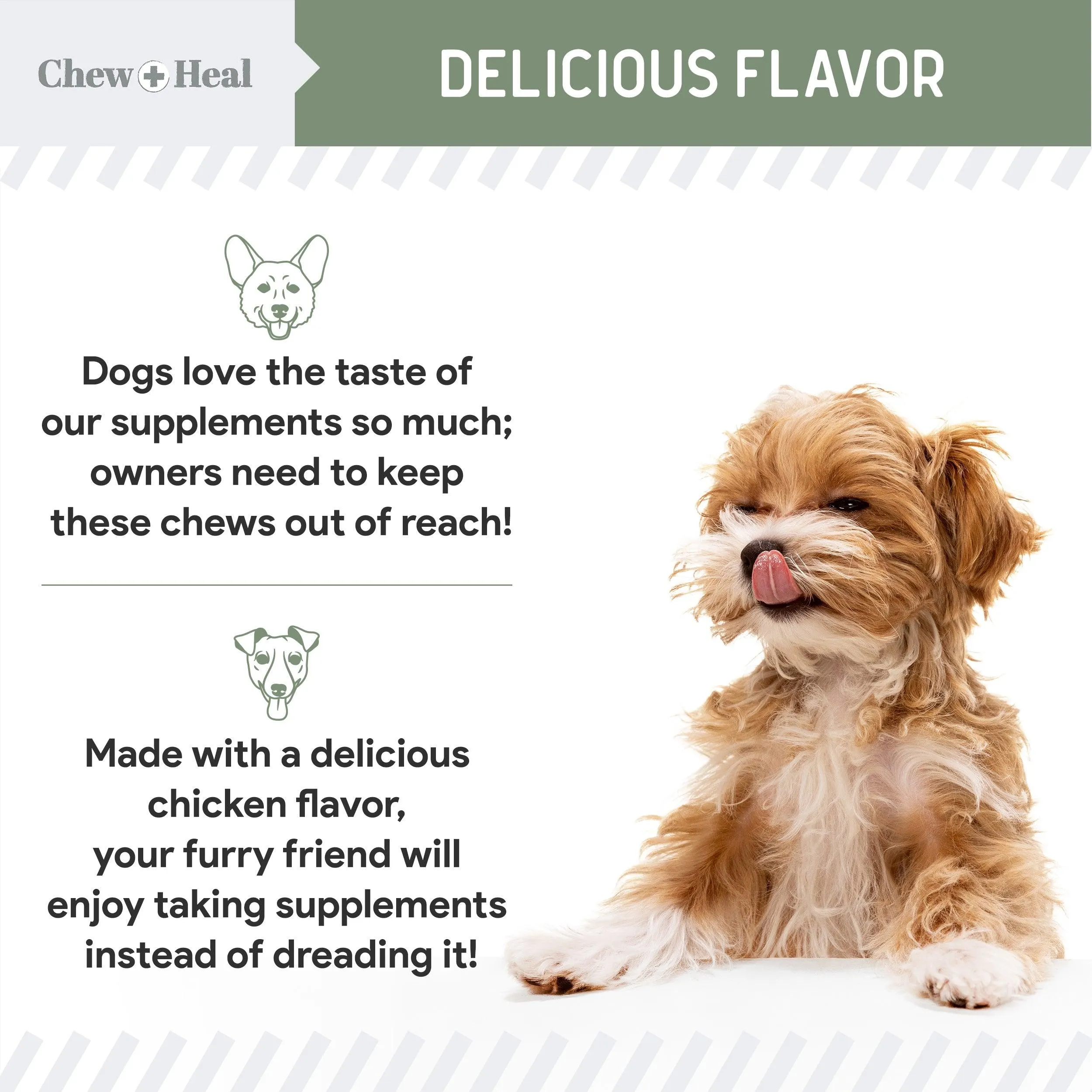 Chew   Heal 4-IN-1 Vitamins and Minerals To Improve Support