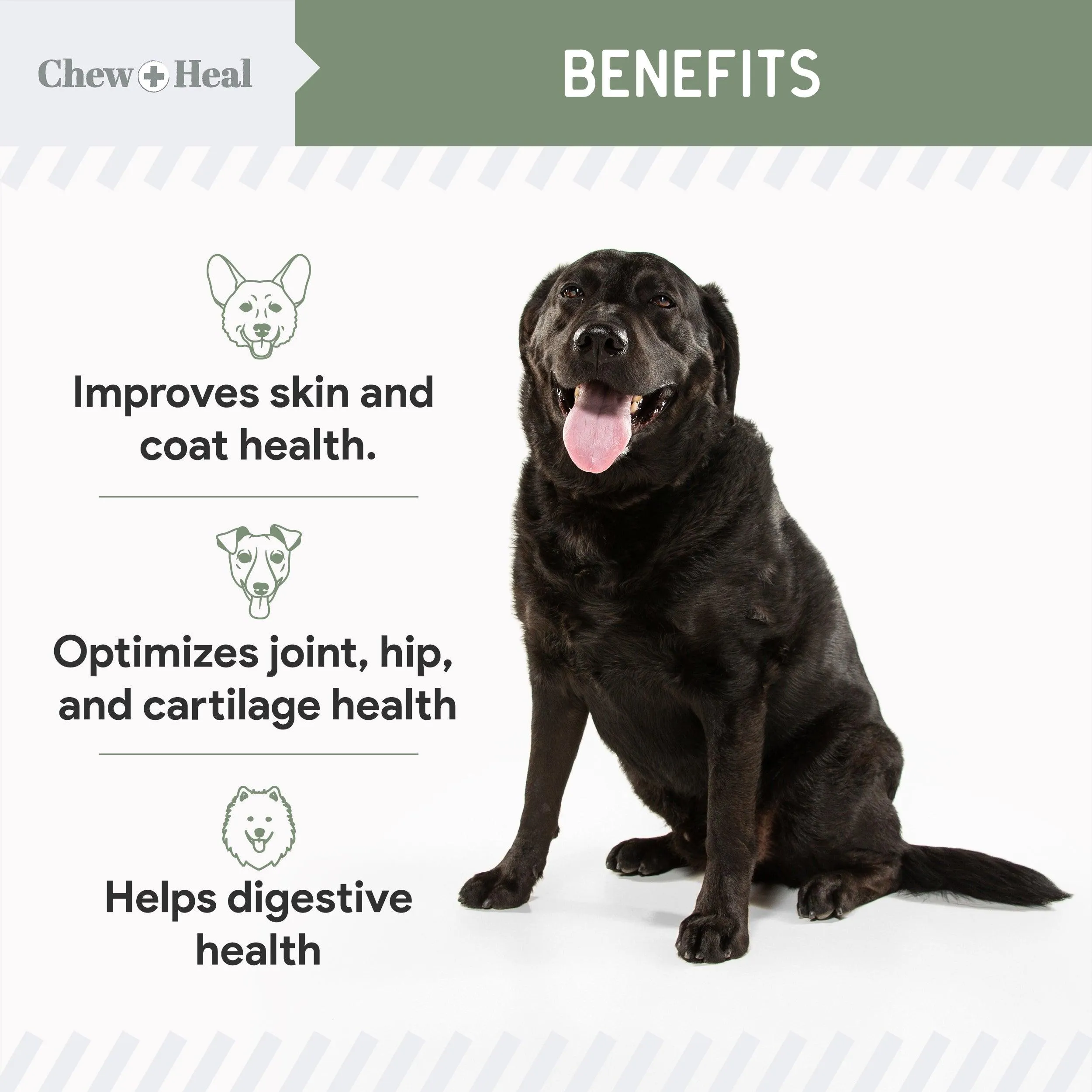 Chew   Heal 4-IN-1 Vitamins and Minerals To Improve Support