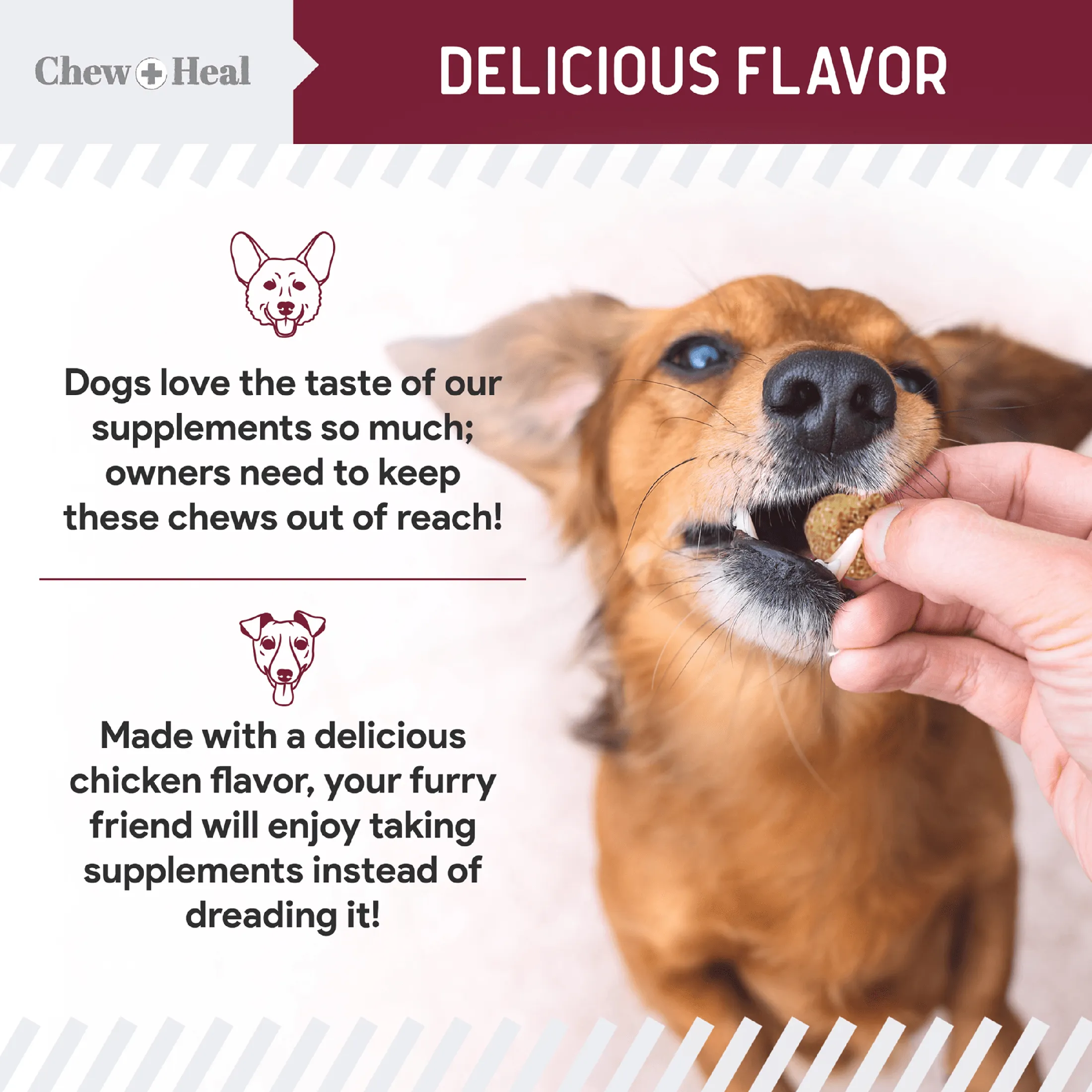 Chew   Heal Chewable Flea and Tick Prevention for Dogs - 180 Delicious Soft Chews