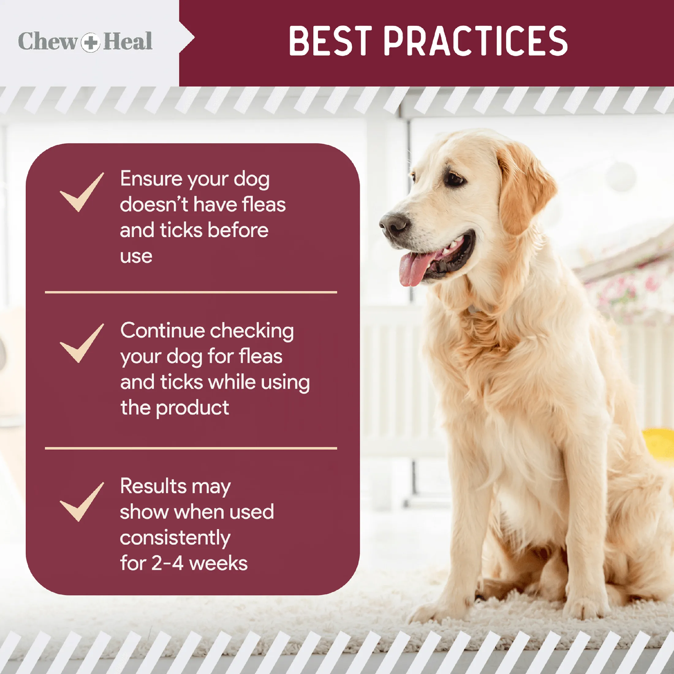 Chew   Heal Chewable Flea and Tick Prevention for Dogs - 180 Delicious Soft Chews