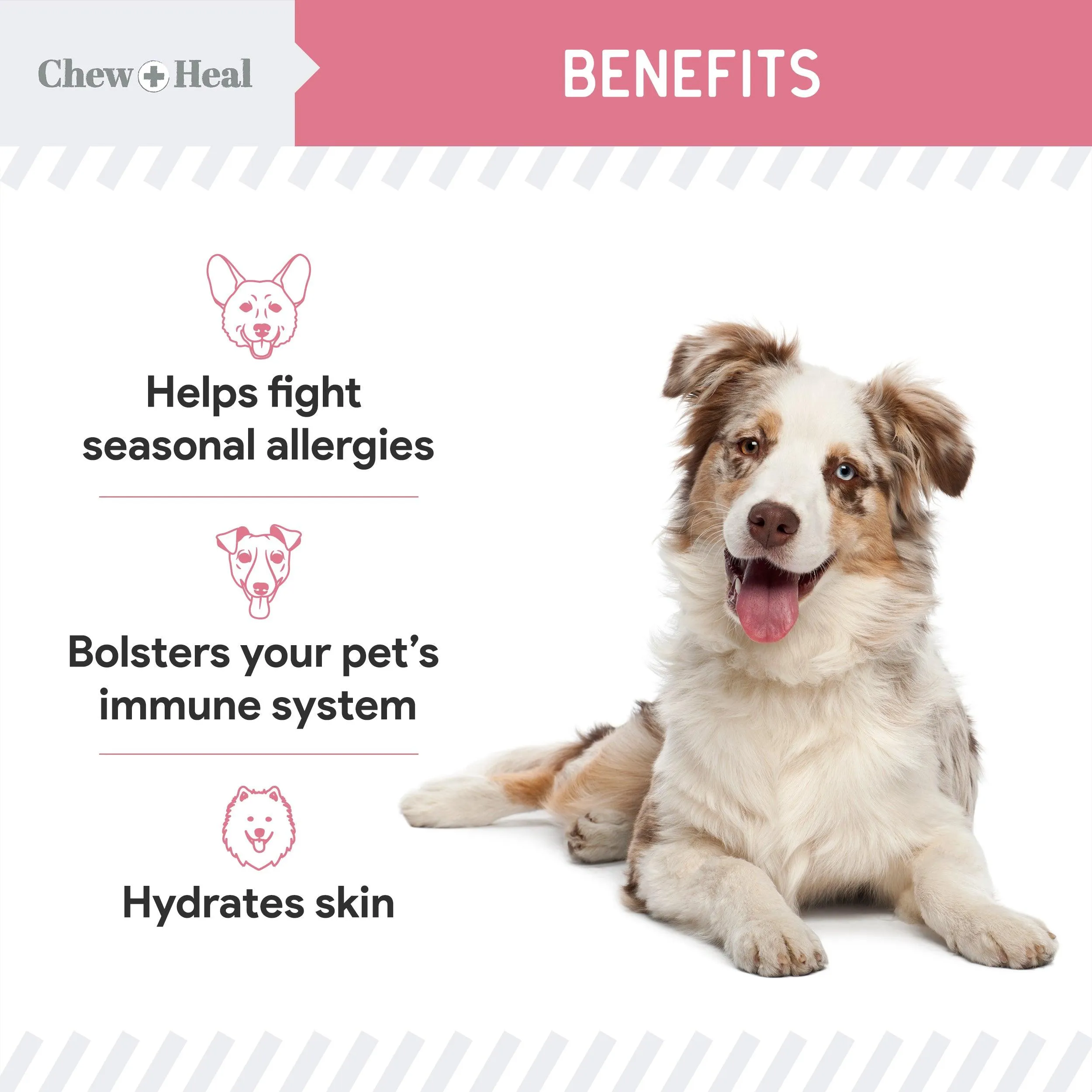 Chew   Heal Dogs Allergy Chews Relief For Itchy Skin