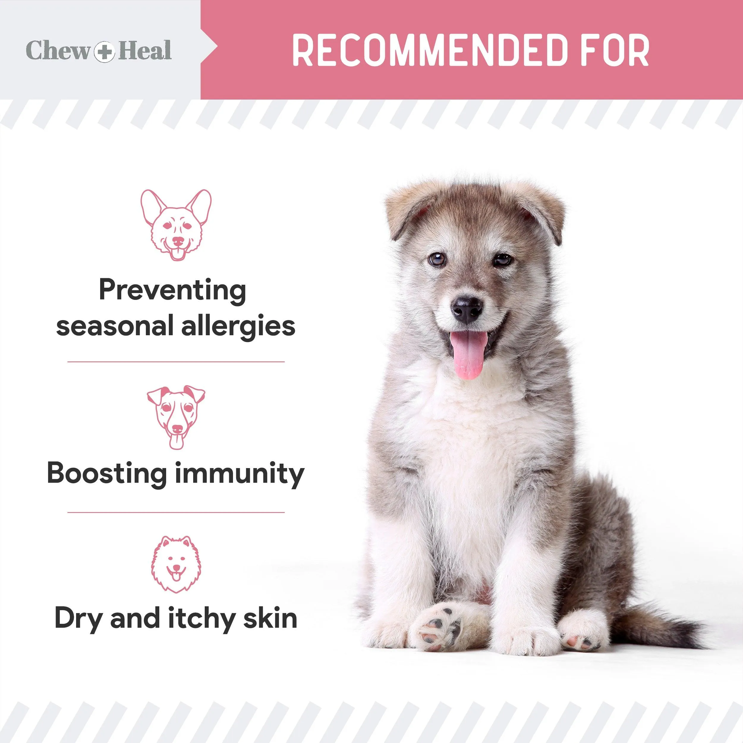 Chew   Heal Dogs Allergy Chews Relief For Itchy Skin