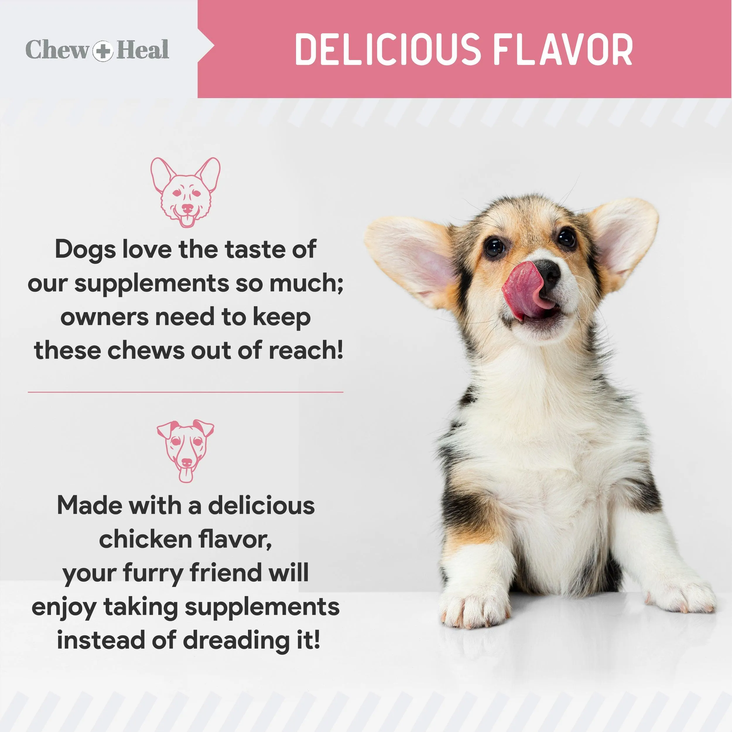 Chew   Heal Dogs Allergy Chews Relief For Itchy Skin