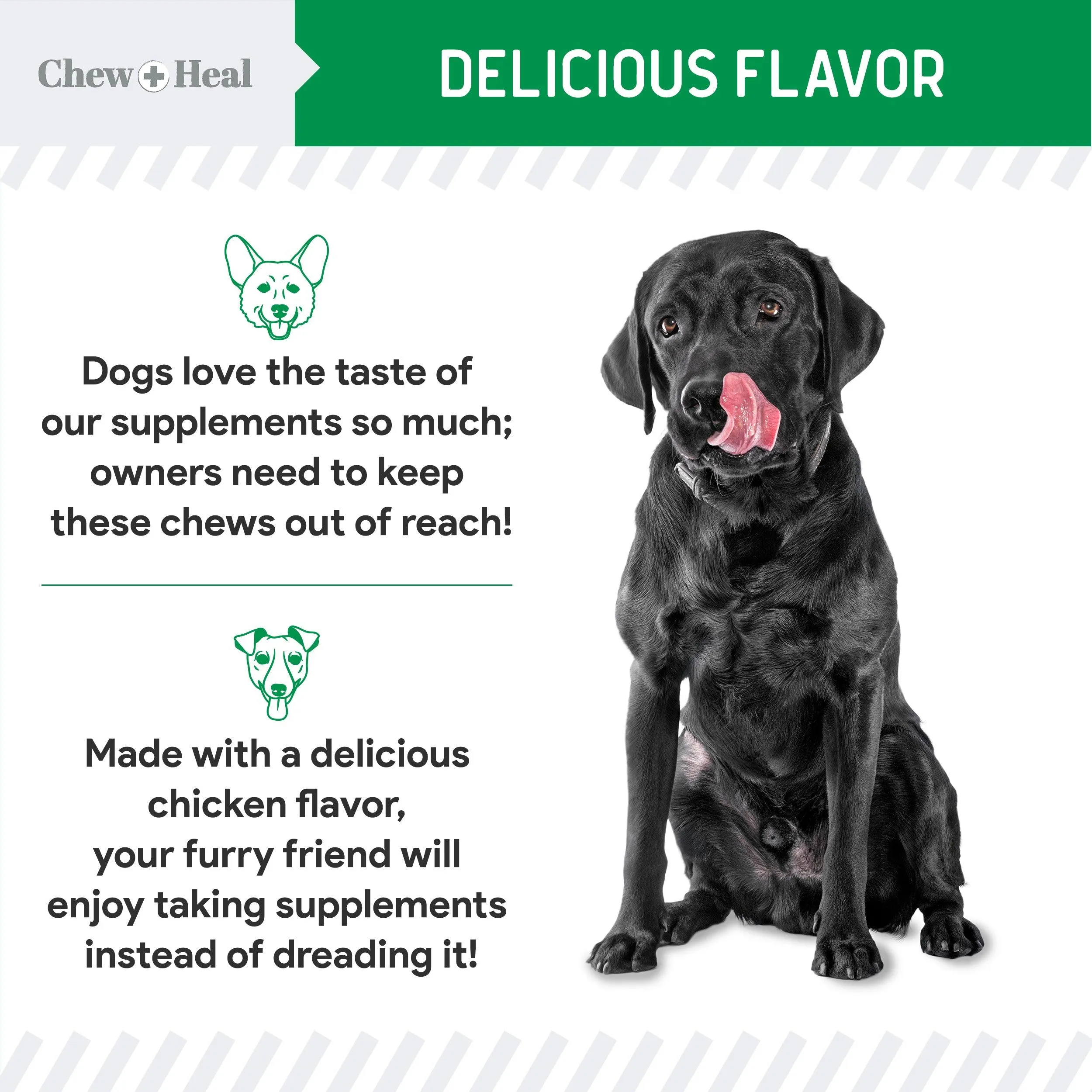 Chew   Heal Grass Saver Chews For Dogs