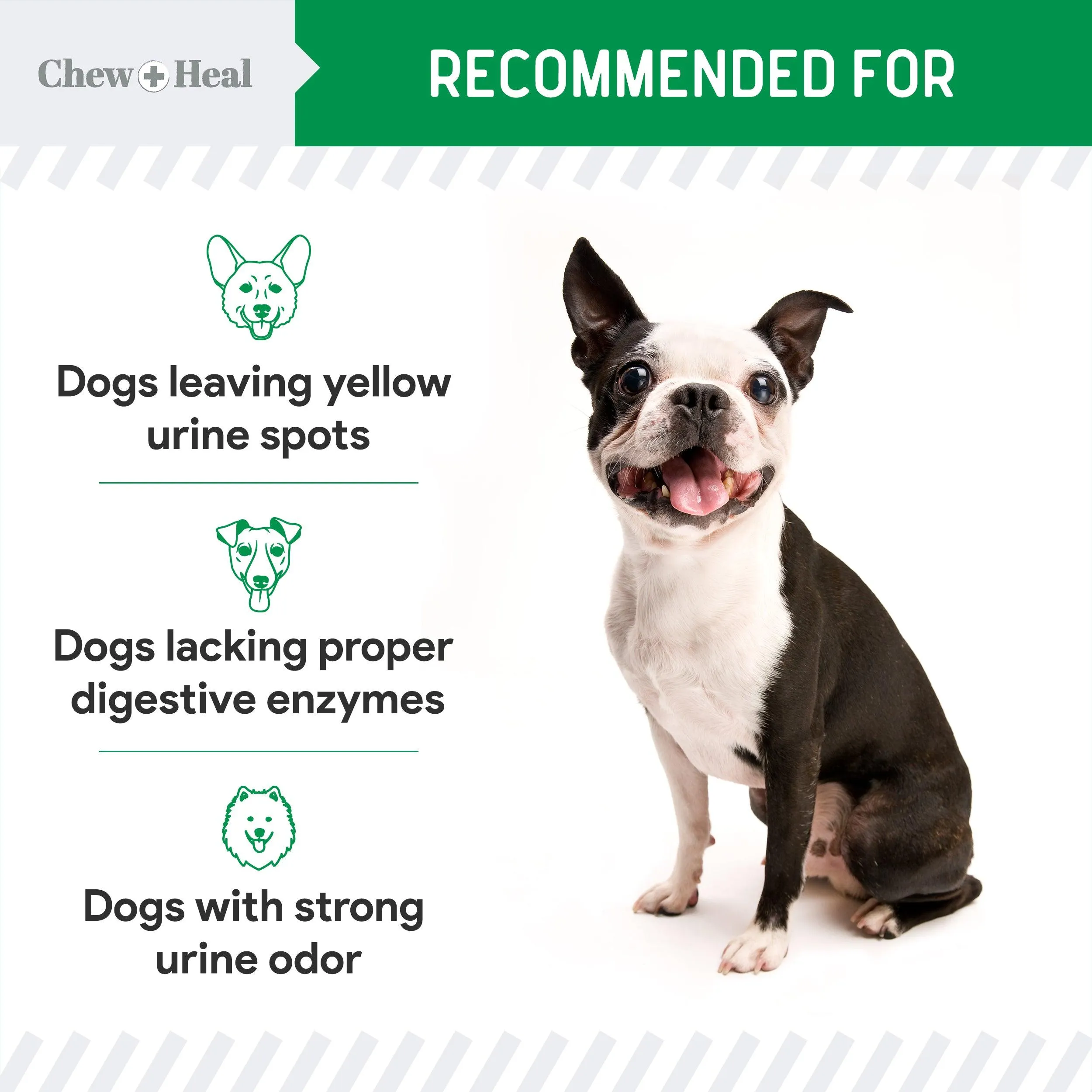 Chew   Heal Grass Saver Chews For Dogs