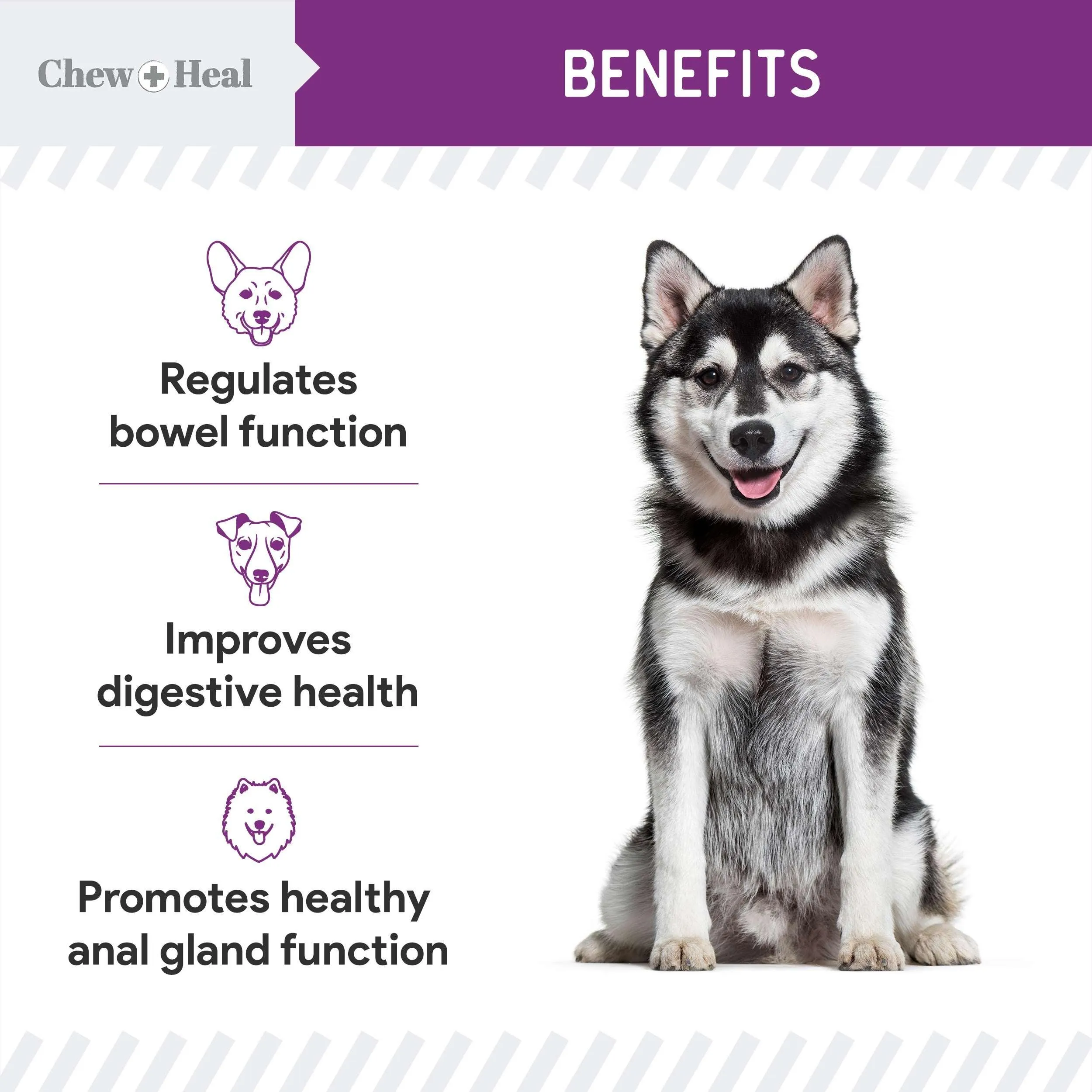 Chew   Heal No Scoot for Dogs - for Healthy Anal Gland Function