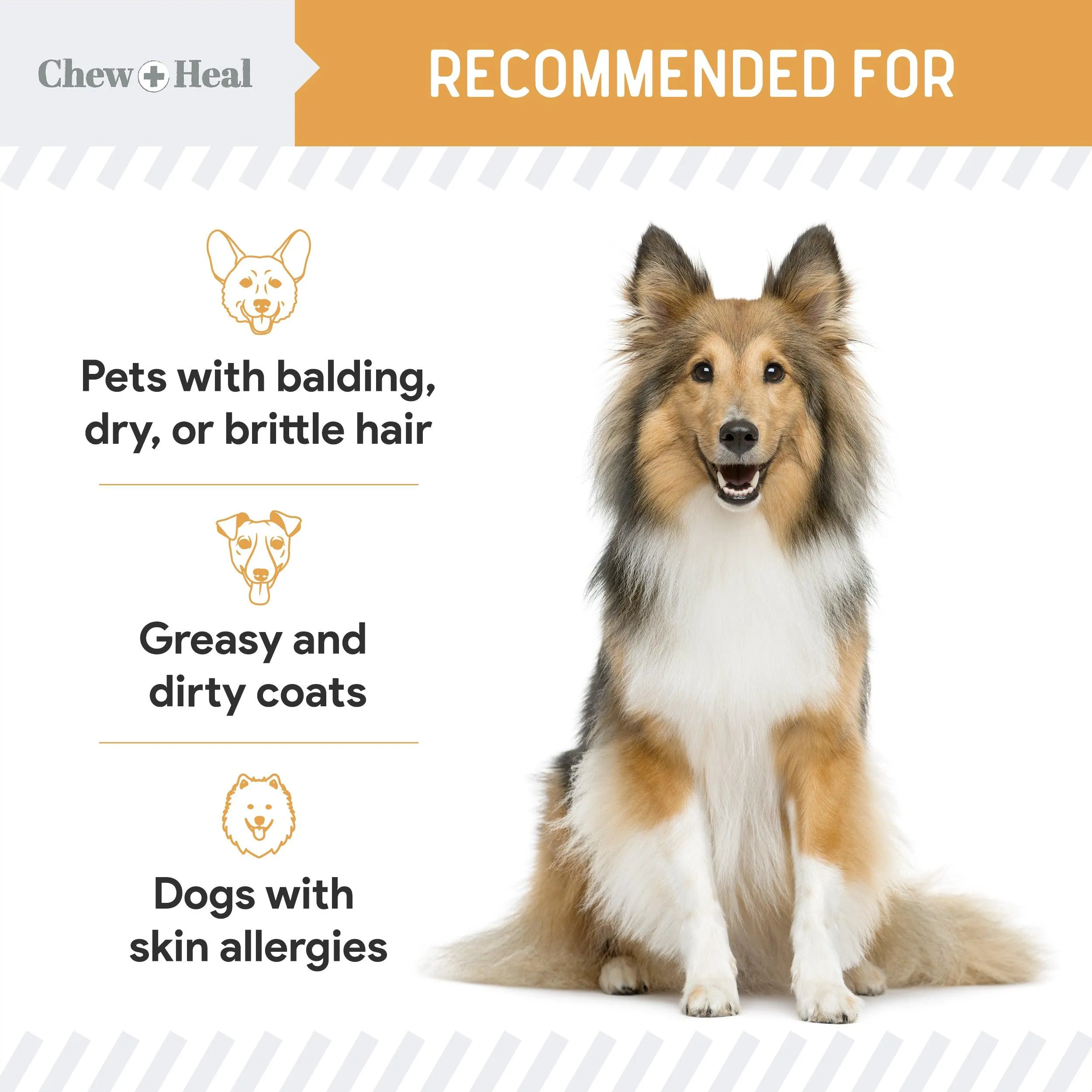 Chew   Heal Omega Skin & Coat Supplement