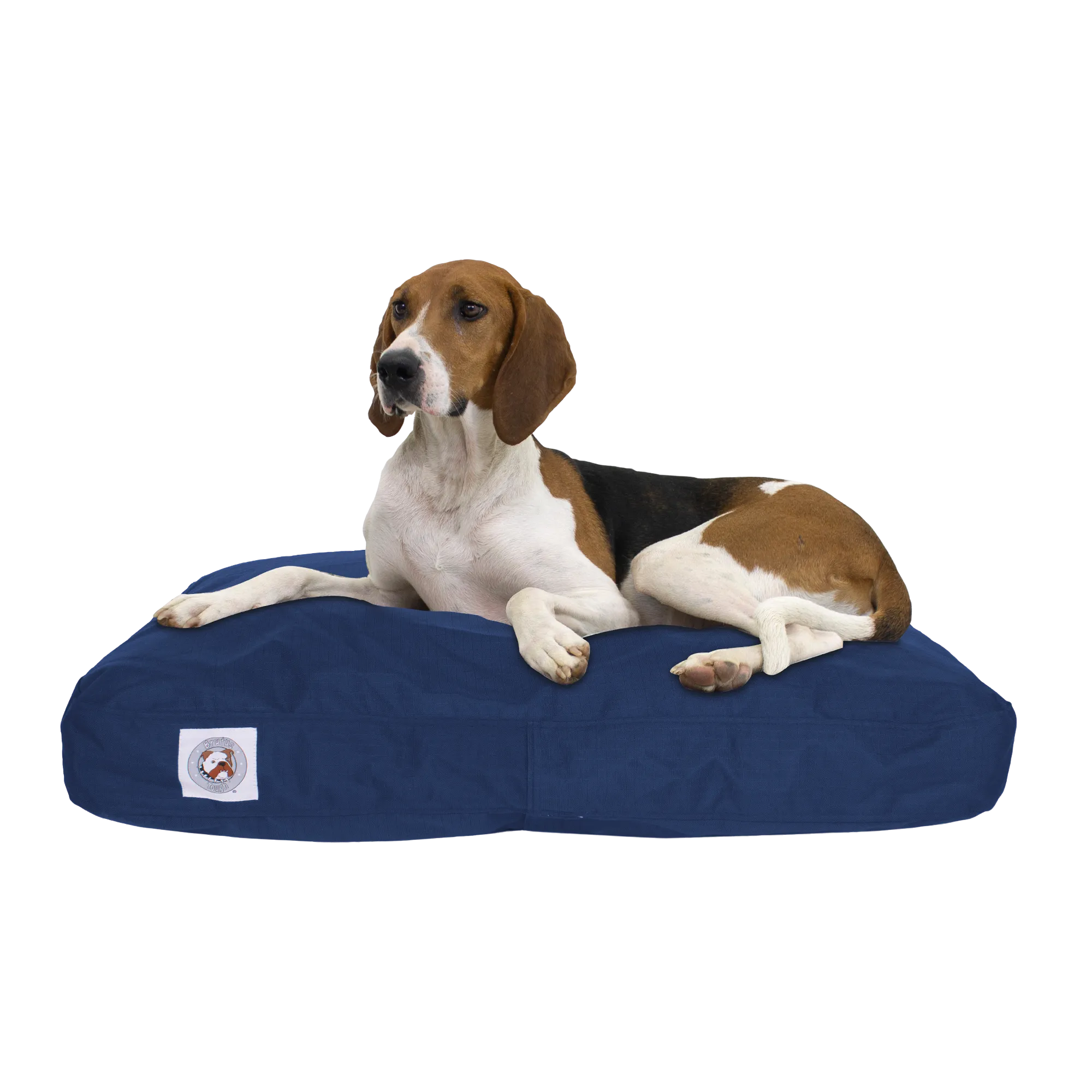 Chew Resistant Napper | Navy Blue