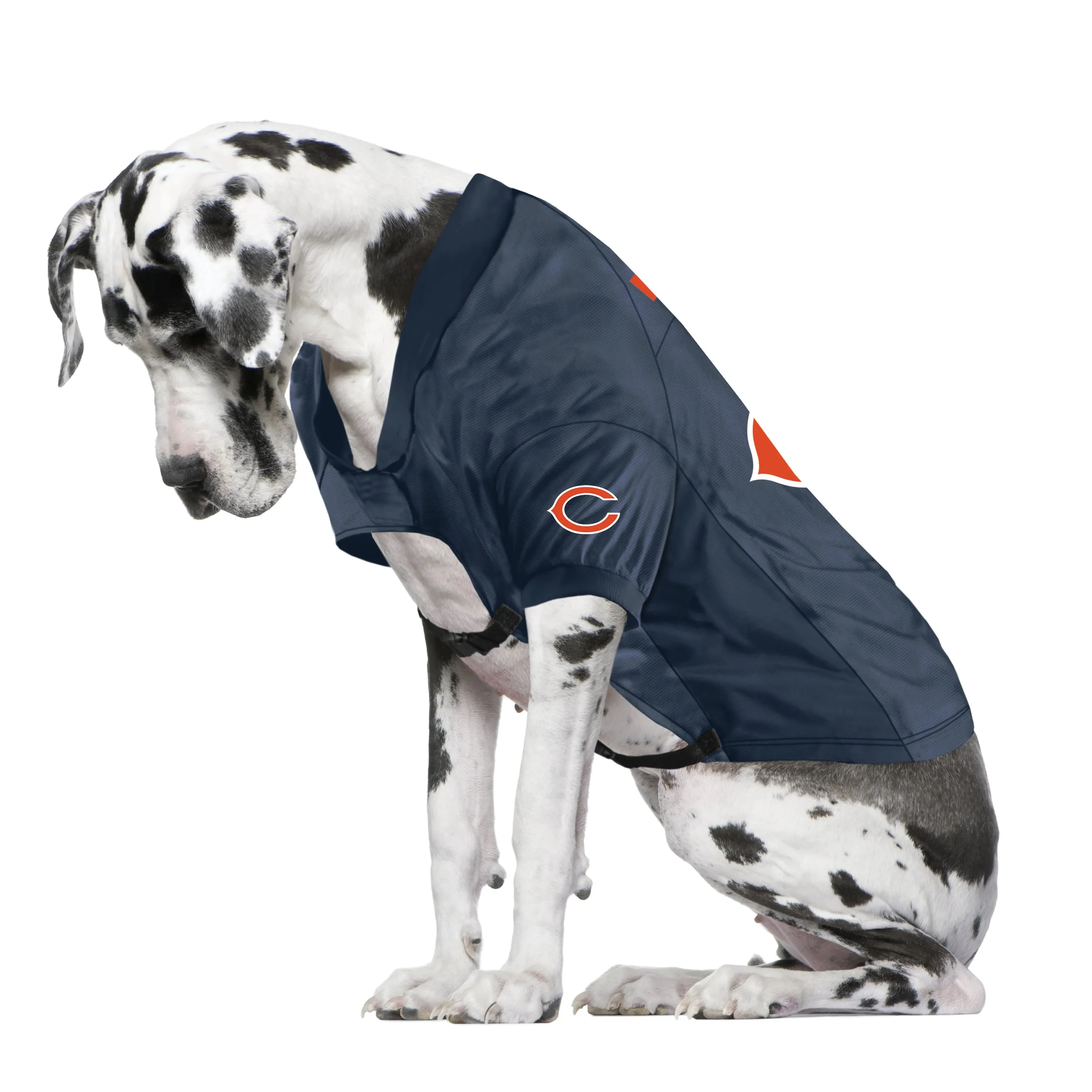 Chicago Bears Big Custom Pet Stretch Jersey