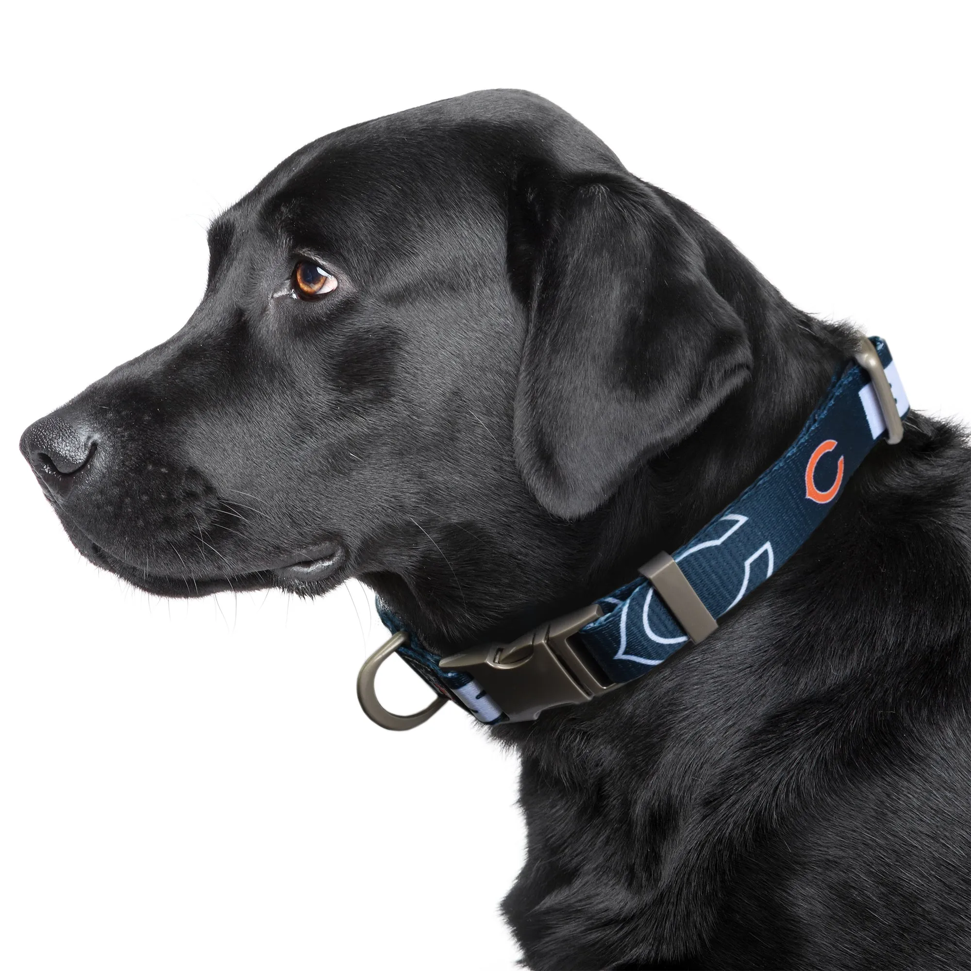 Chicago Bears Premium Pet Collar