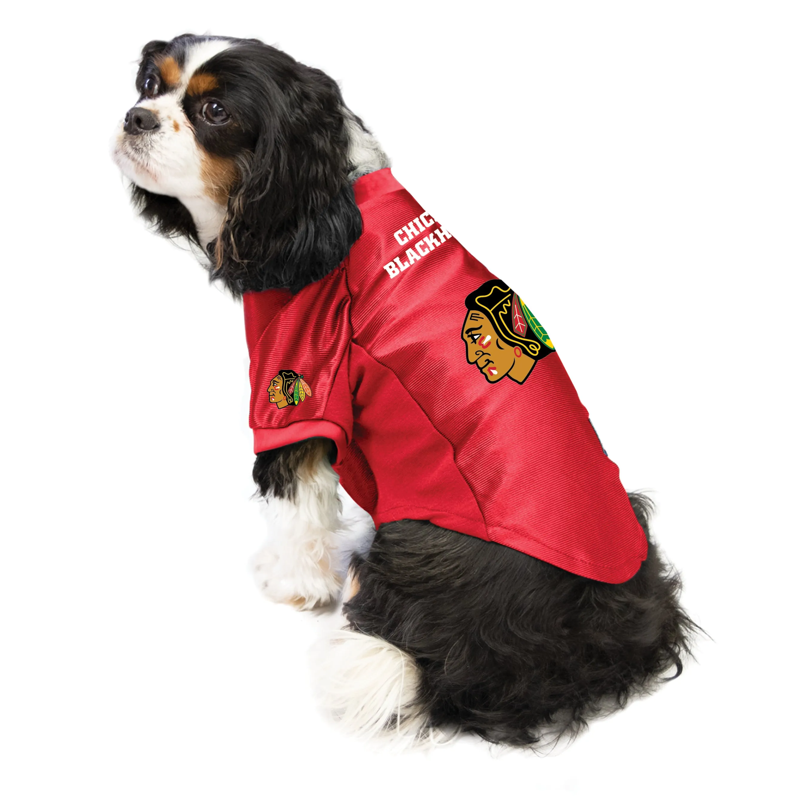 Chicago Blackhawks Pet Stretch Jersey