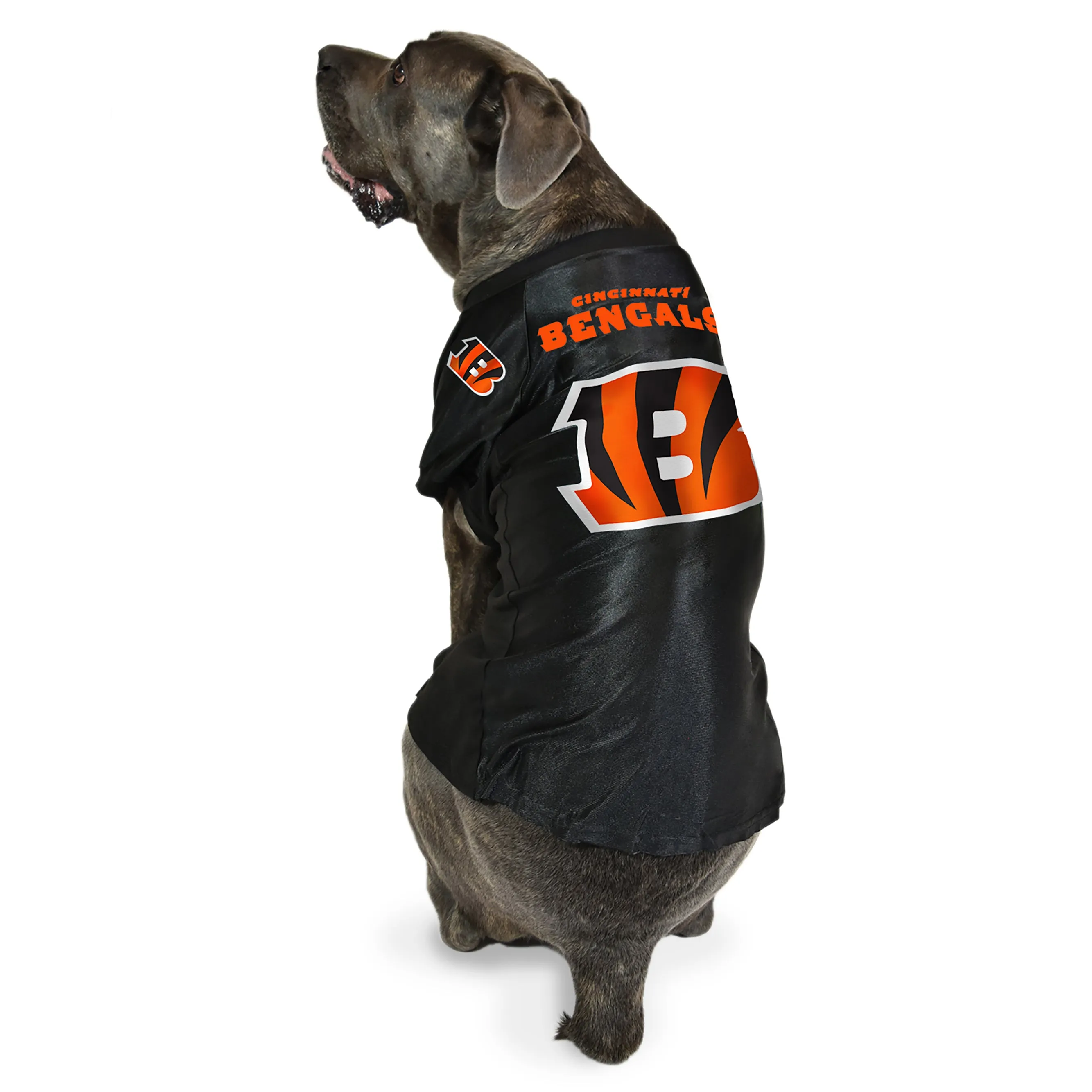 Cincinnati Bengals Big Pet Stretch Jersey