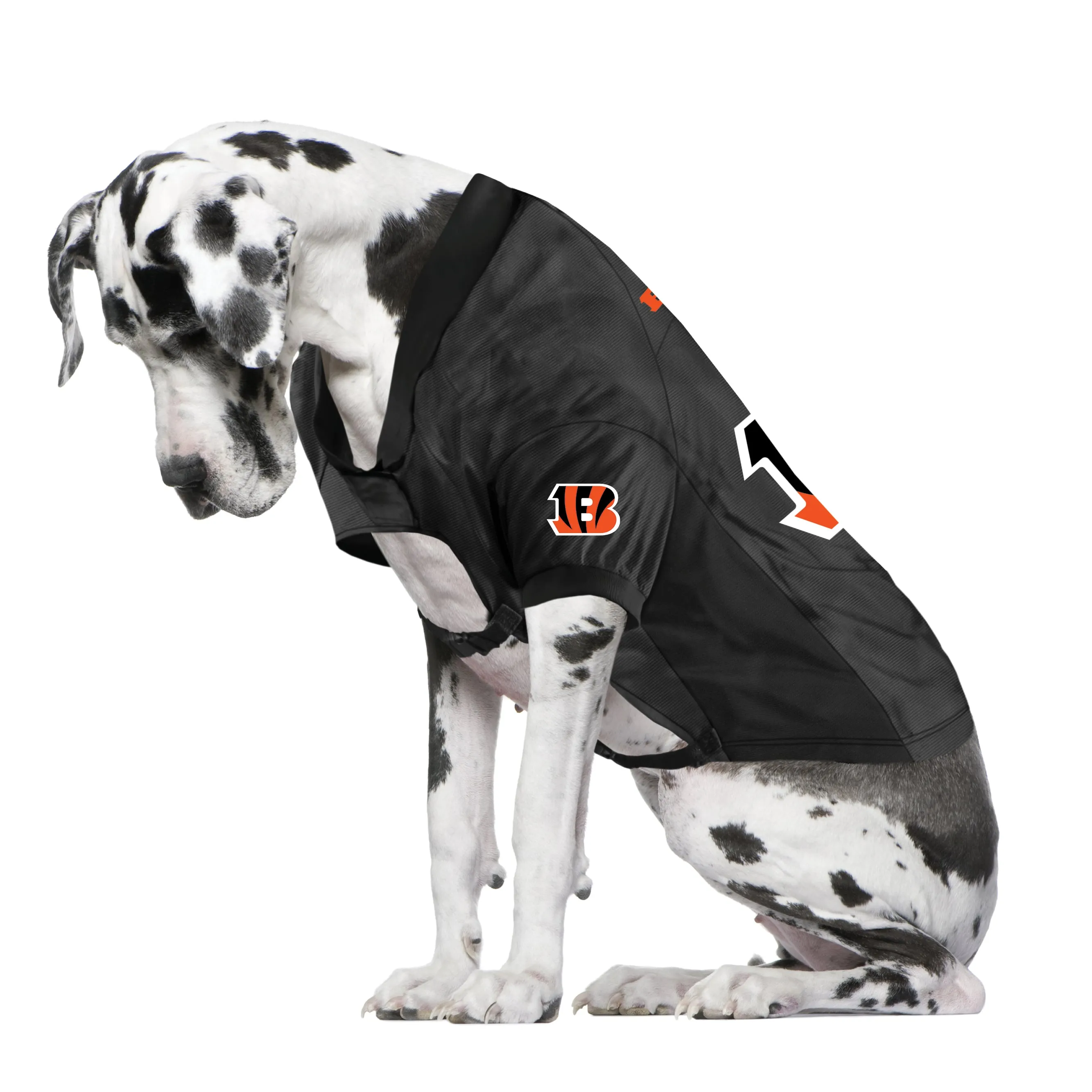 Cincinnati Bengals Big Pet Stretch Jersey