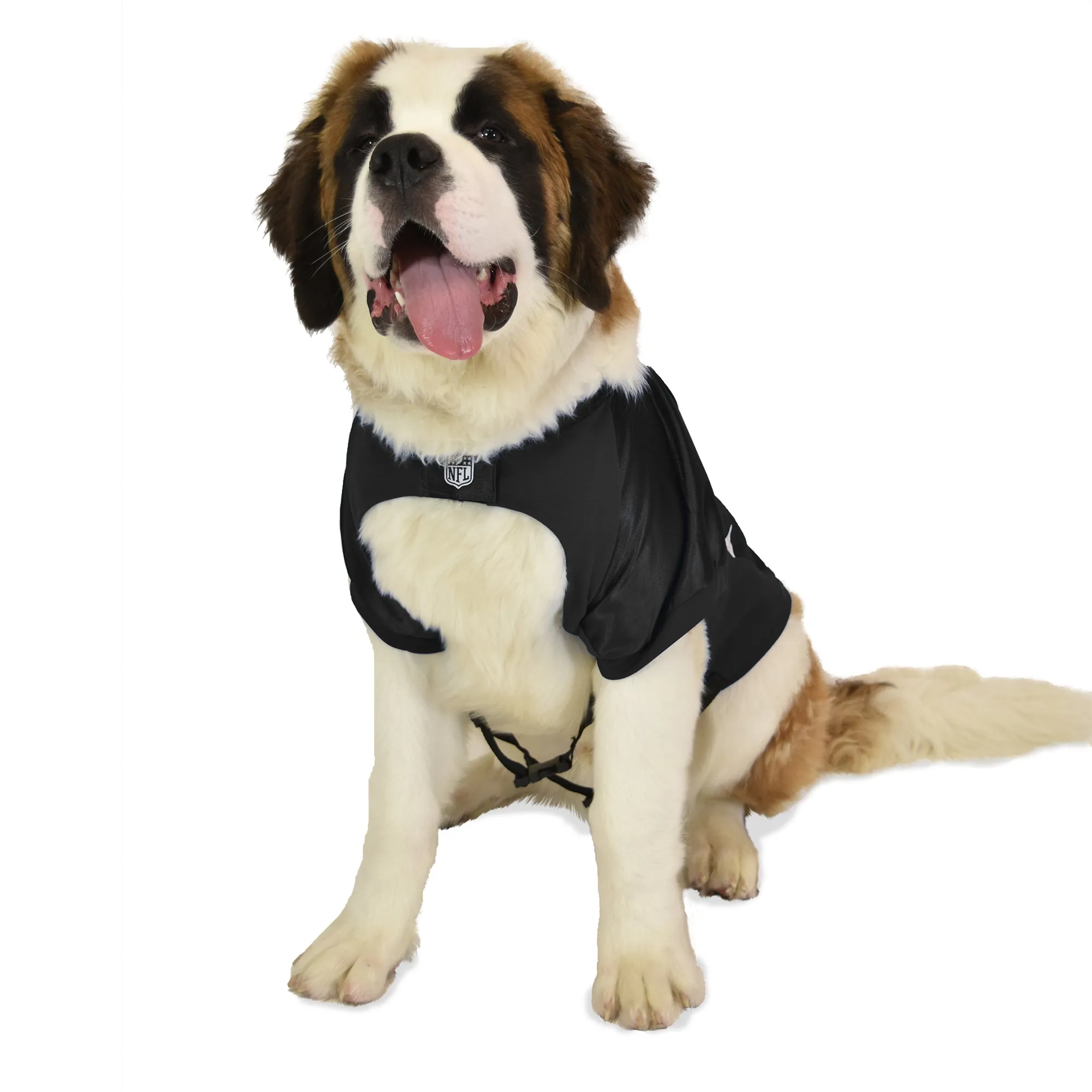 Cincinnati Bengals Big Pet Stretch Jersey