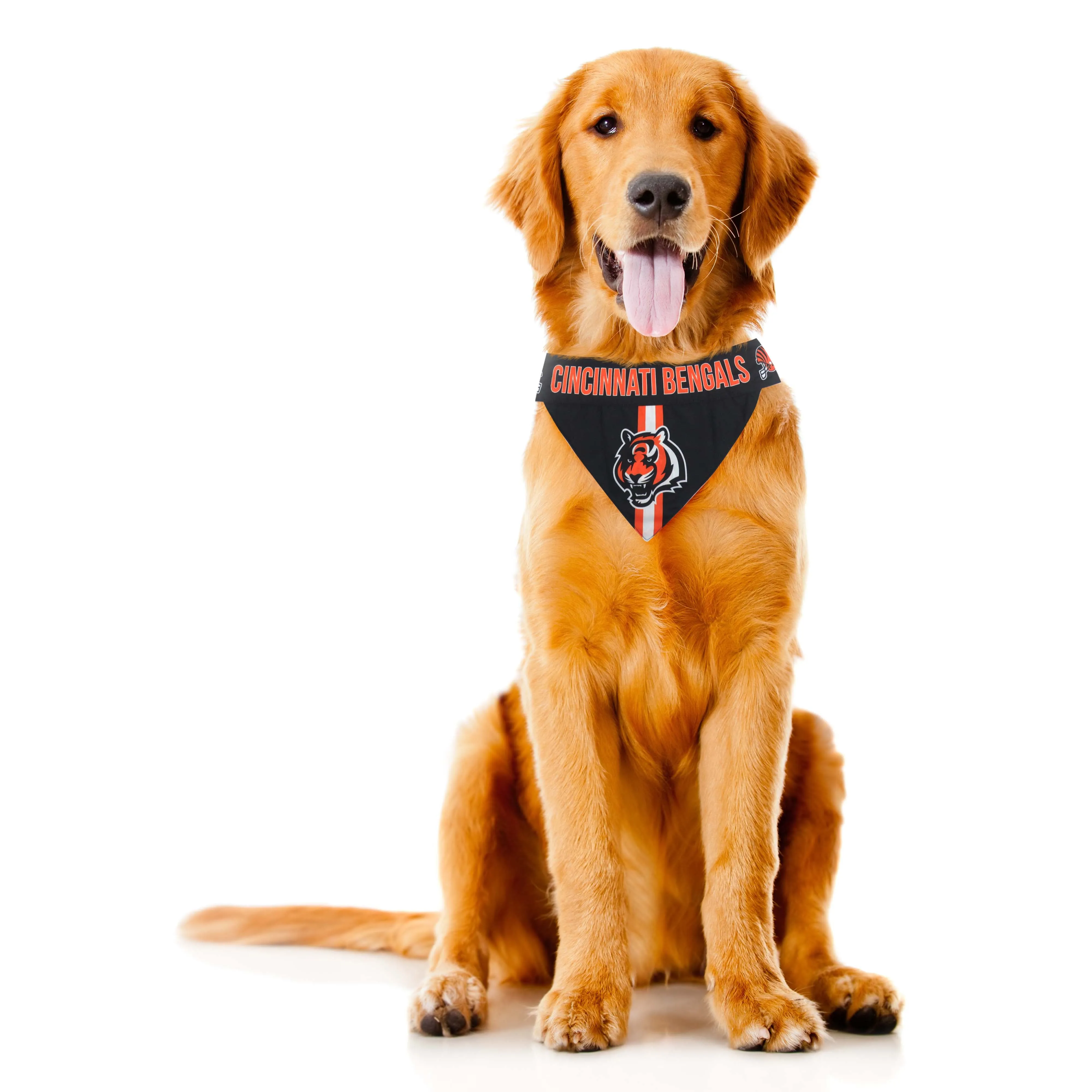 Cincinnati Bengals Pet Bandana