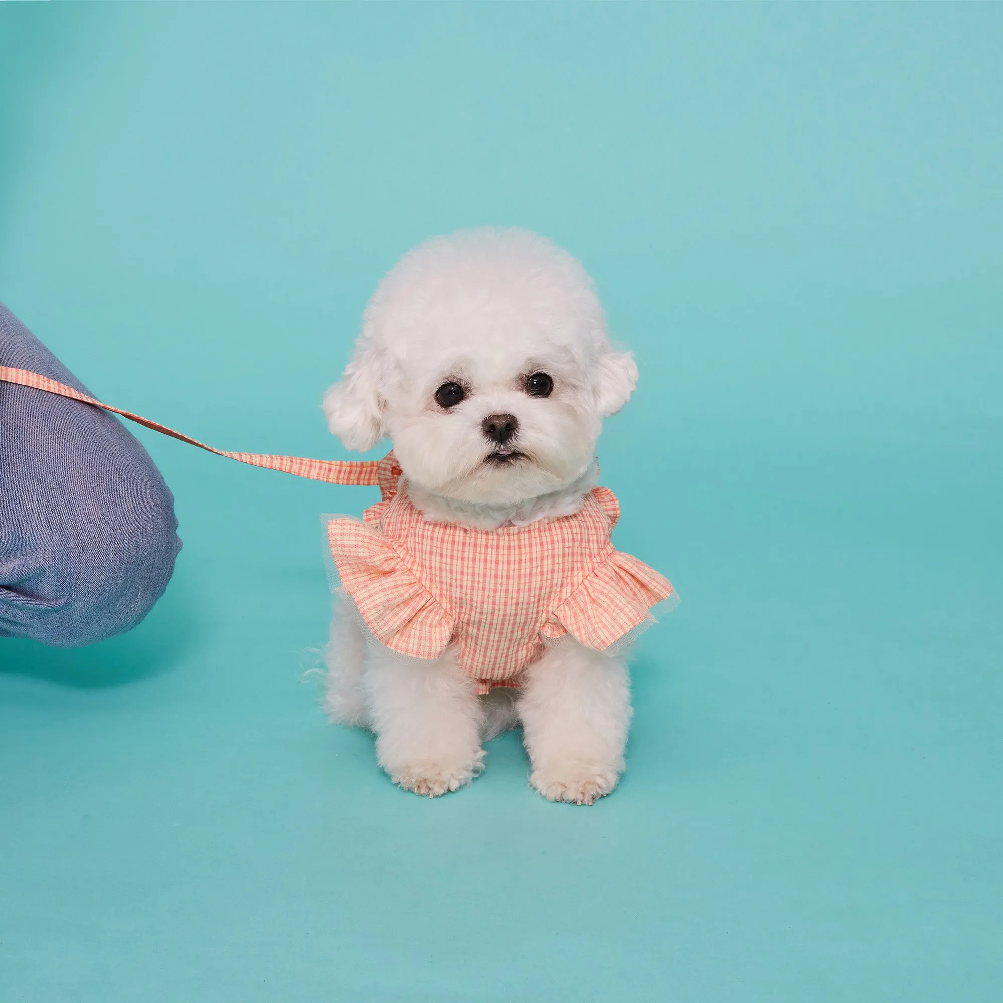 Country Chic Frill Harness Set - Coral