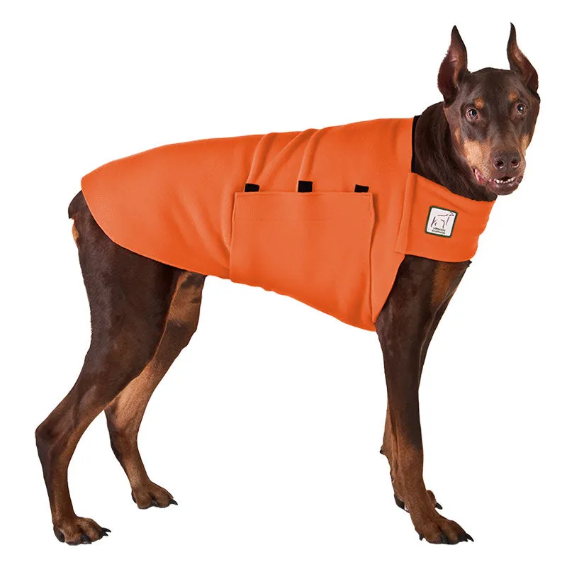 Doberman Pinscher Tummy Warmer