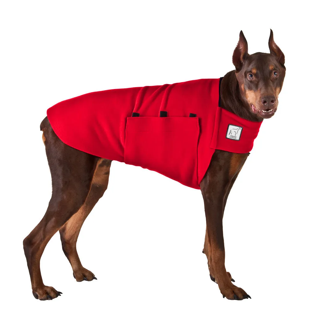 Doberman Pinscher Tummy Warmer